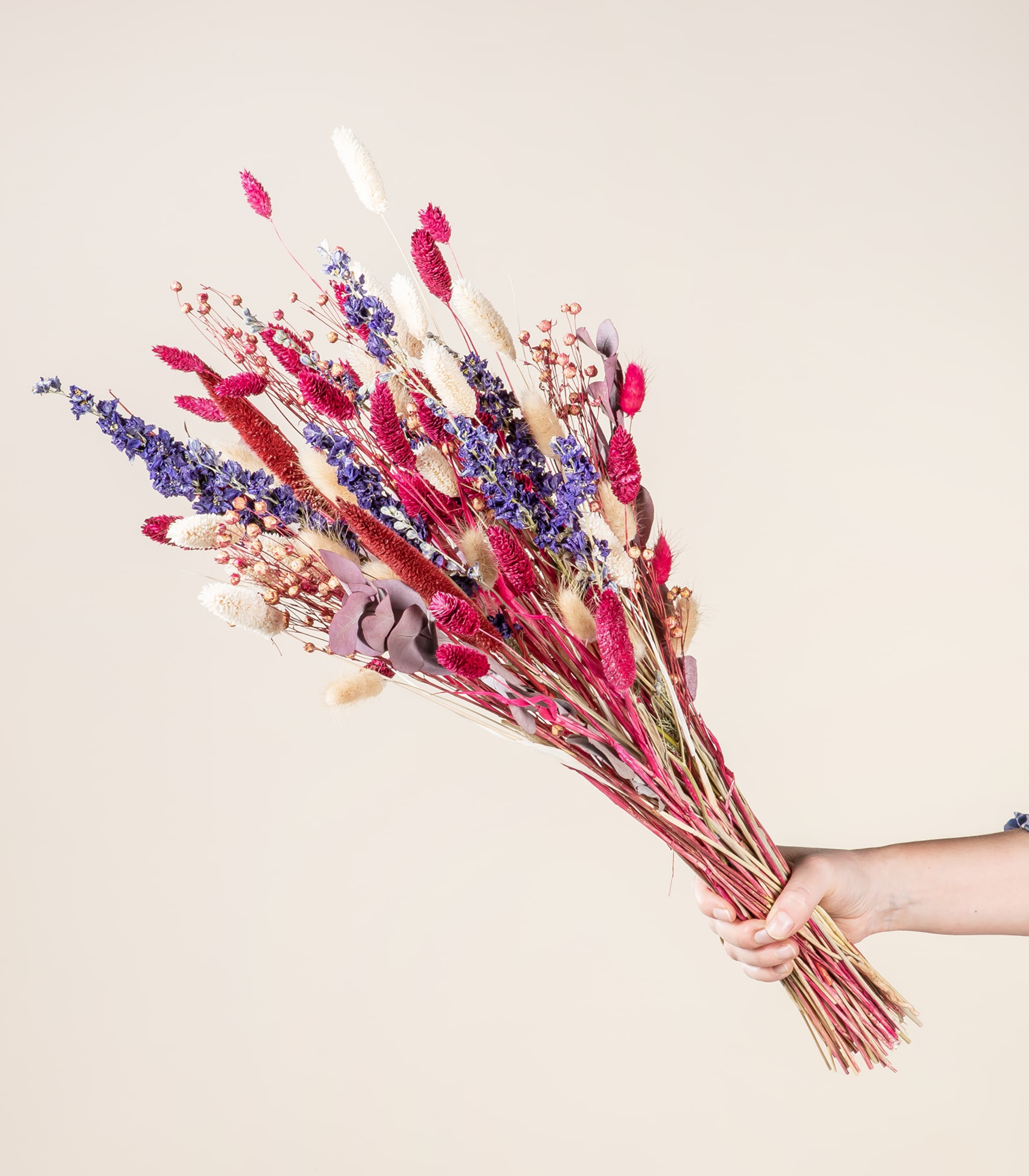 Ein farbenfroher Strauß getrockneter Blumen in Rot-, Lila- und Beigetönen wird vor einem schlichten, hellen Hintergrund in den Händen einer Person gehalten.