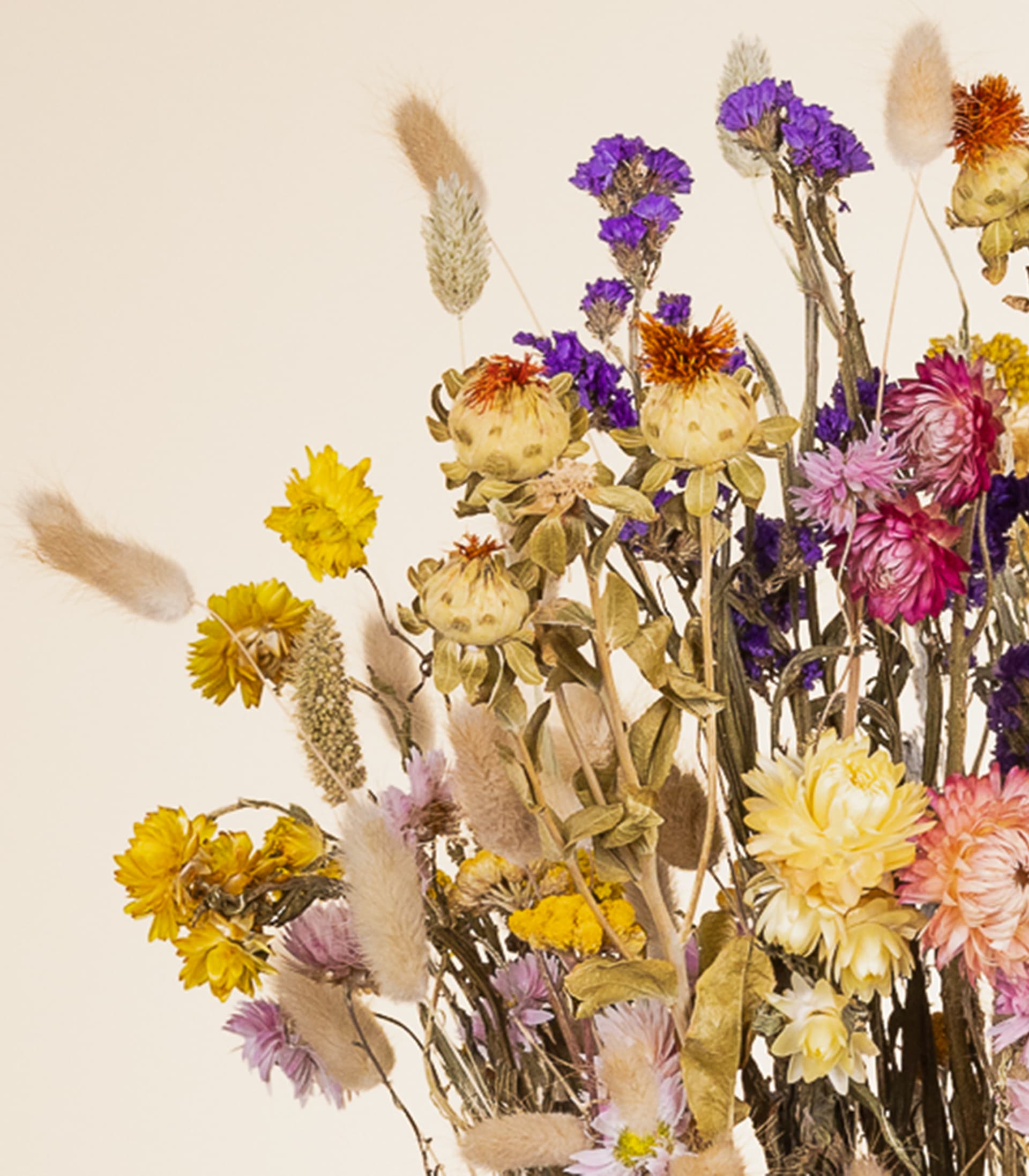 Ein lebendiger Strauß getrockneter und frischer Blumen, darunter gelbe, violette und rosa Blüten, vor einem neutralen beigen Hintergrund.