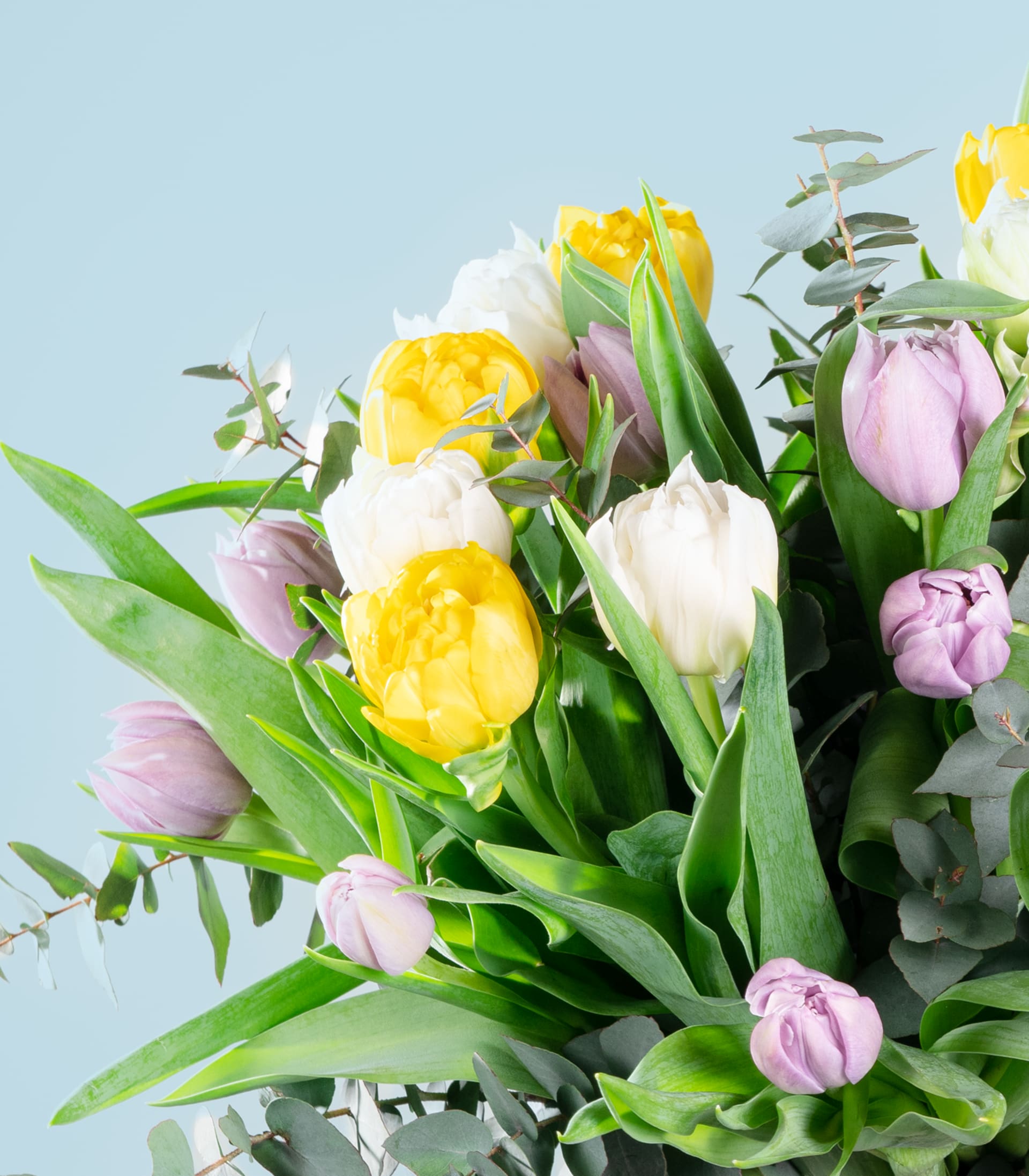 Ein leuchtender Strauß gelber und rosa Tulpen vor einem sanften blauen Hintergrund, der eine heitere und farbenfrohe Szene schafft.