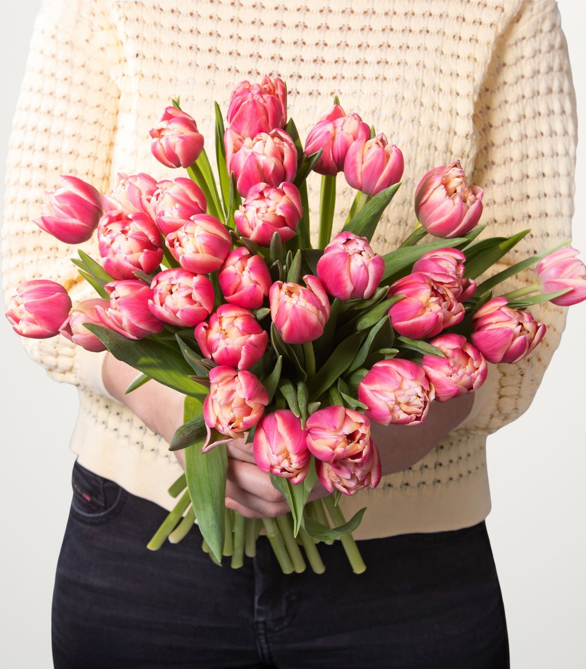 Rosa Tulpen 'Columbus' - 30 Stiele