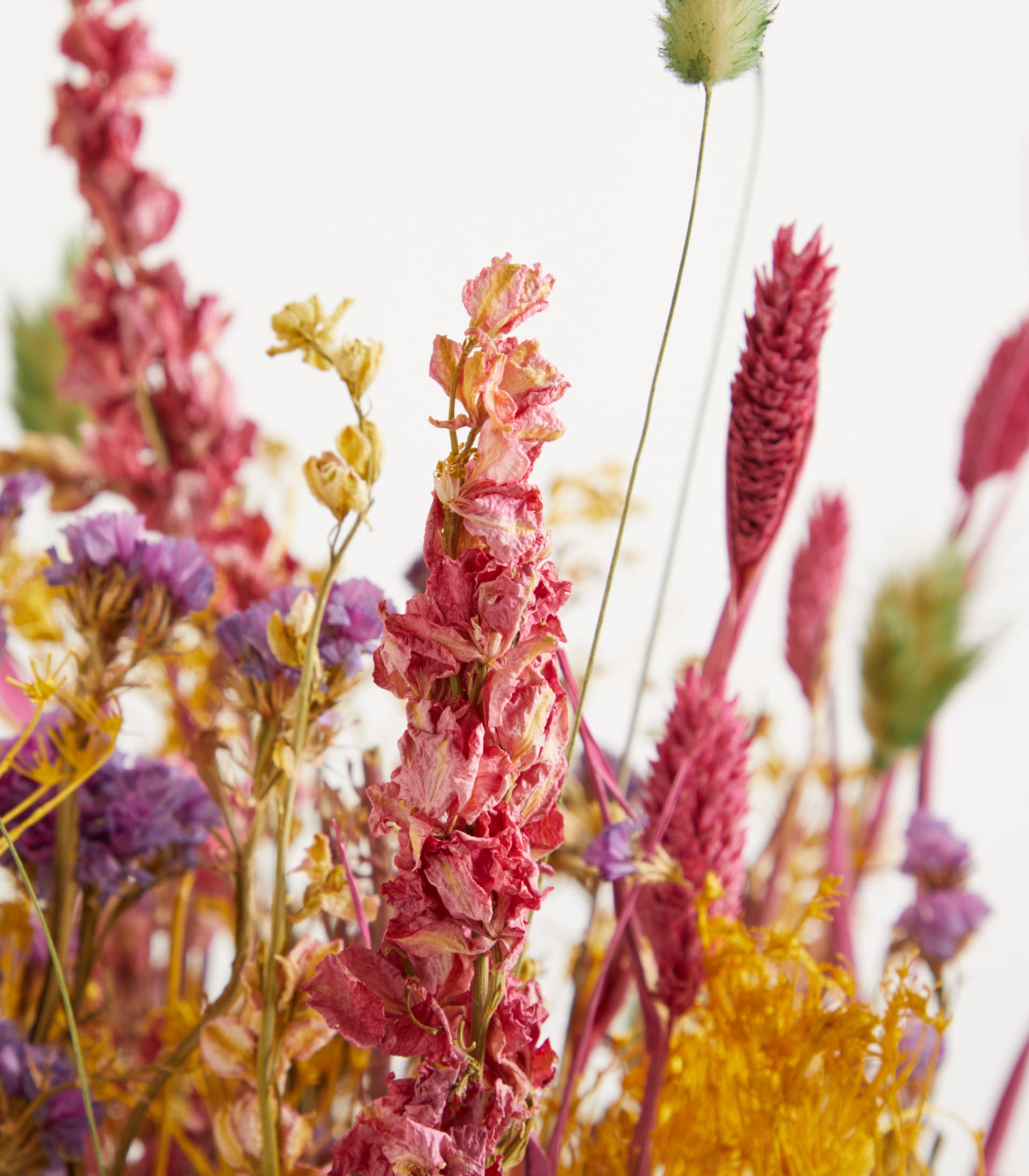 Ein lebendiger Strauß bunter Trockenblumen, darunter rosa, violette und gelbe Blüten, vor einem schlichten weißen Hintergrund.