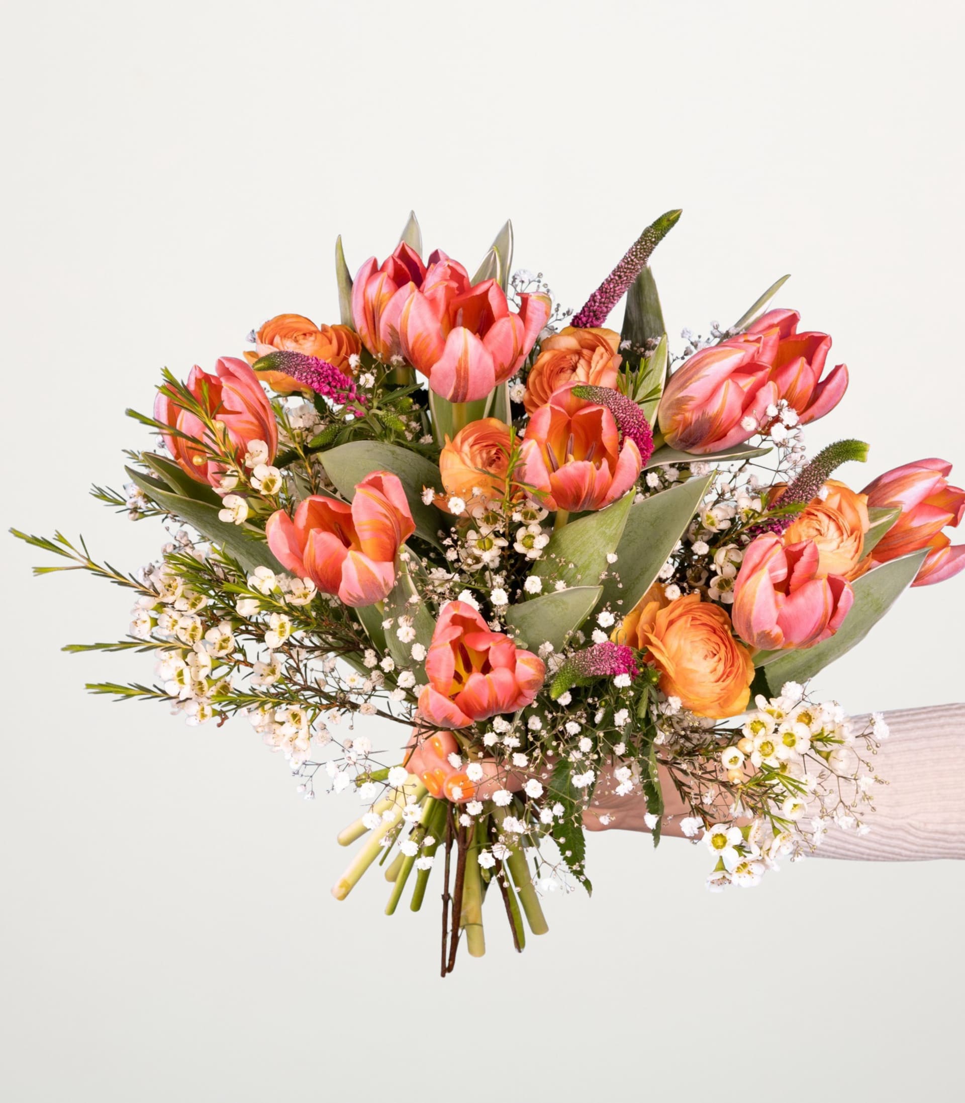 Ein leuchtender Strauß rosa und orangefarbener Tulpen, umgeben von Grün und Schleierkraut, wird vor einem schlichten weißen Hintergrund in den Händen einer Person gehalten.