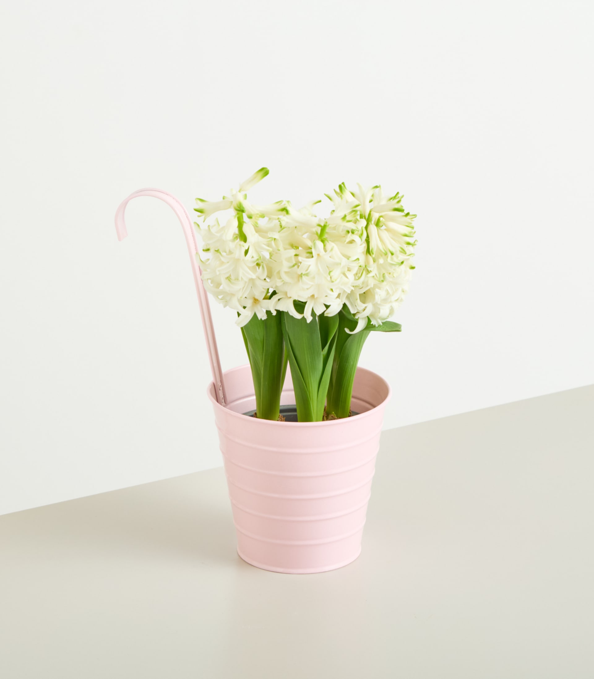 Ein Strauß weißer Hyazinthenblüten in einem rosa Keramiktopf steht auf einer hellen Oberfläche vor einem schlichten weißen Hintergrund.