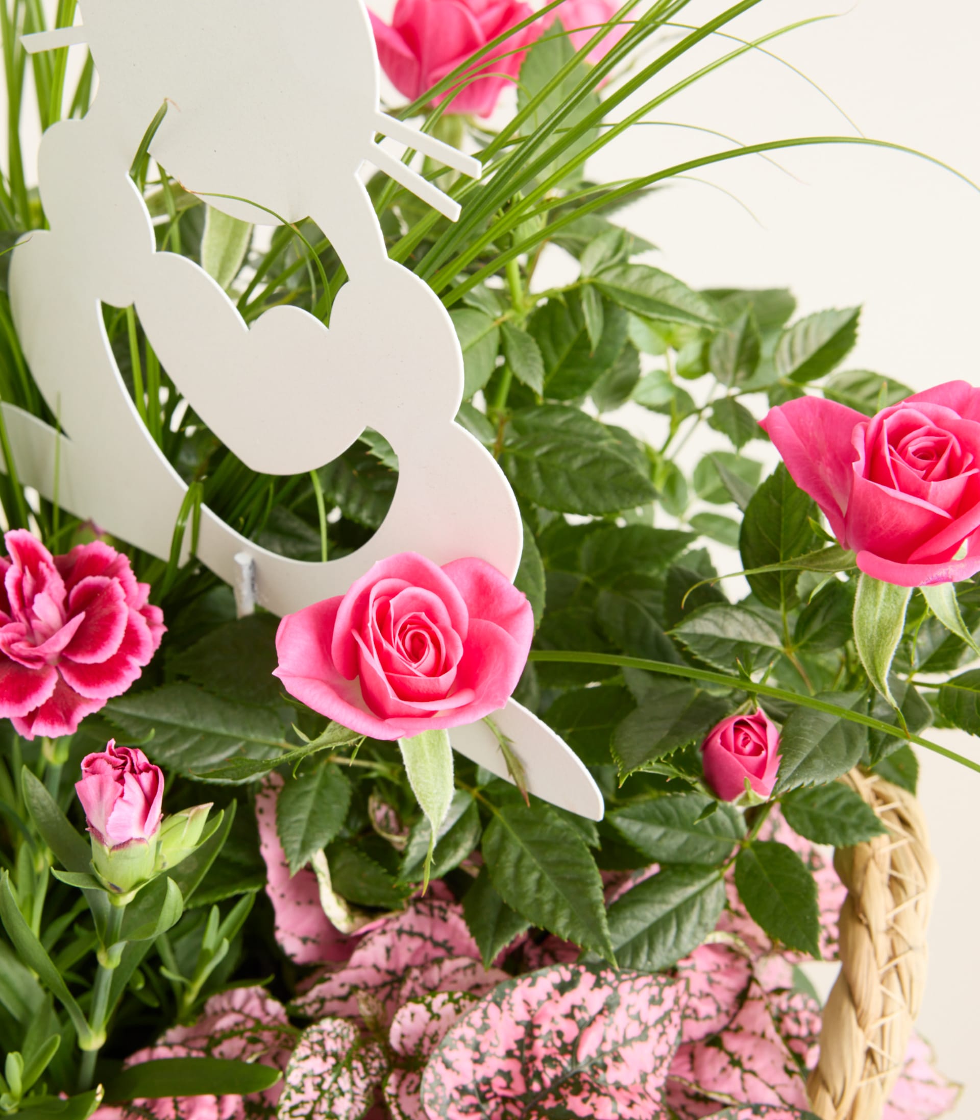 Ein farbenfroher Strauß rosa Rosen und anderer Grünpflanzen, arrangiert in einem geflochtenen Korb vor einem schlichten weißen Hintergrund.