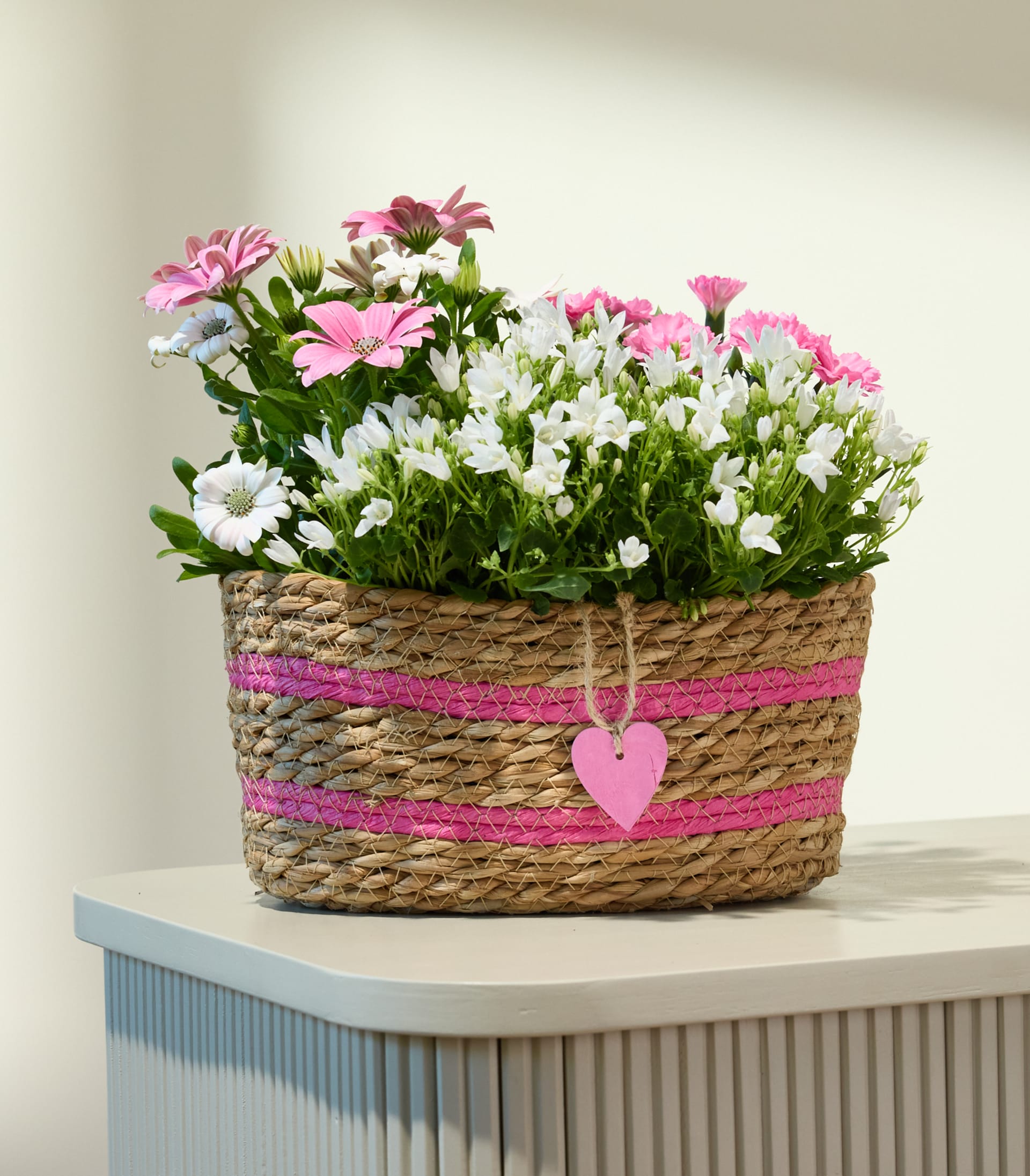 Ein lebendiges Arrangement aus rosa Nelken und Gerbera-Gänseblümchen in einem geflochtenen Korb vor einem üppigen, grünen Hintergrund.