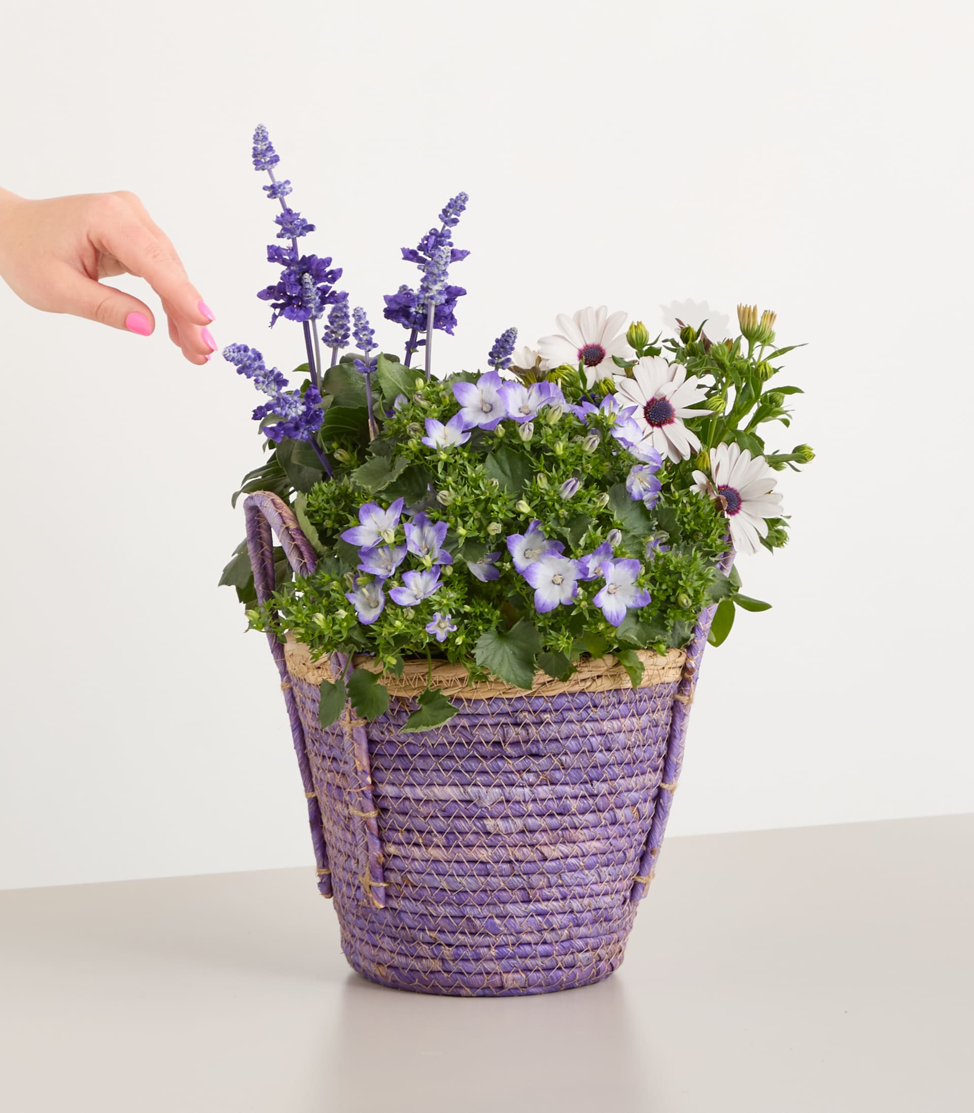Ein Strauß violetter und weißer Blumen, darunter Lavendel und Gänseblümchen, arrangiert in einem geflochtenen Korb, den eine Hand vor einem schlichten weißen Hintergrund hält.