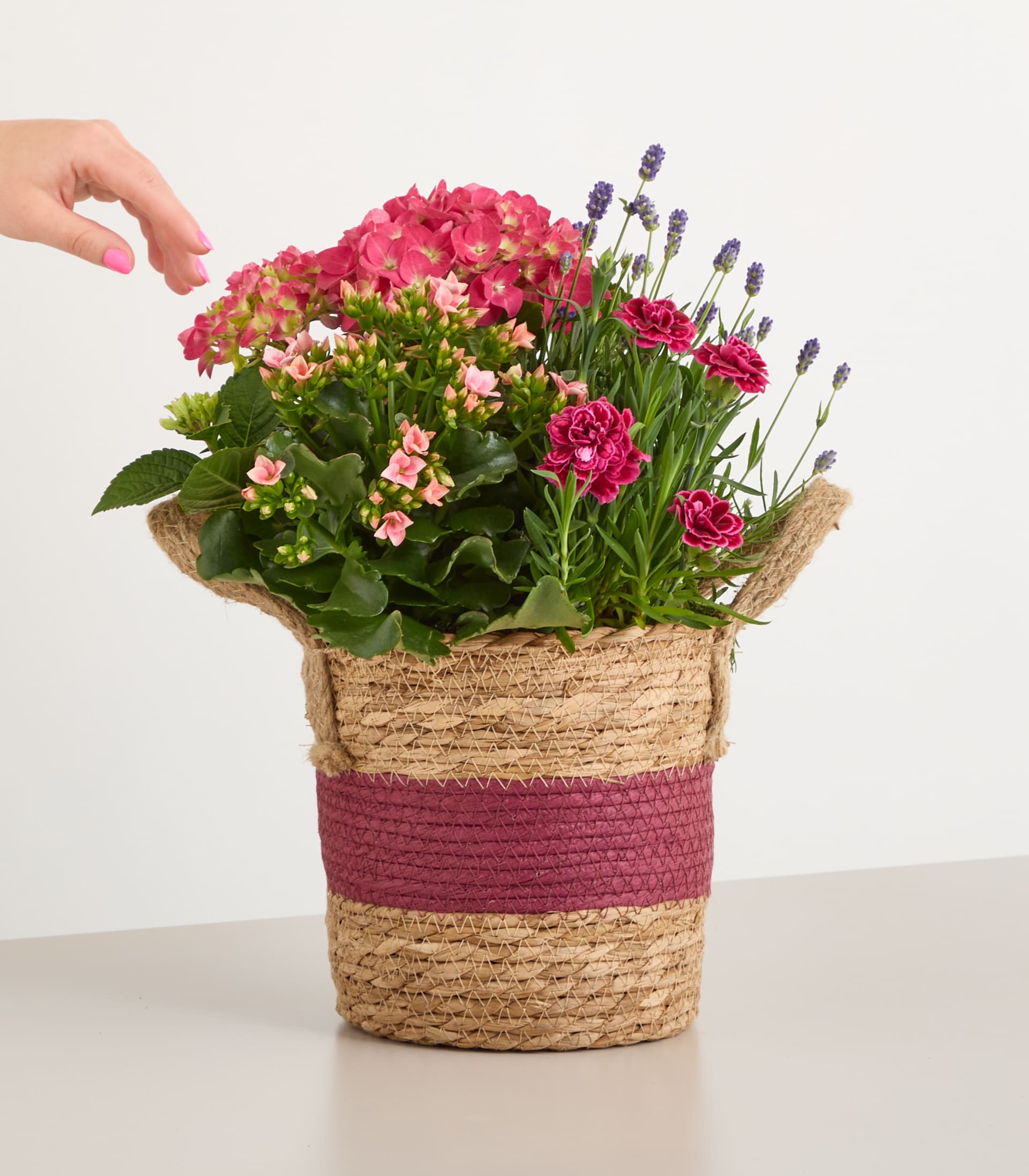 Ein farbenfroher Strauß aus rosa Hortensien, Nelken und anderen Blumen wird in einem geflochtenen Korb vor einem schlichten weißen Hintergrund gehalten.