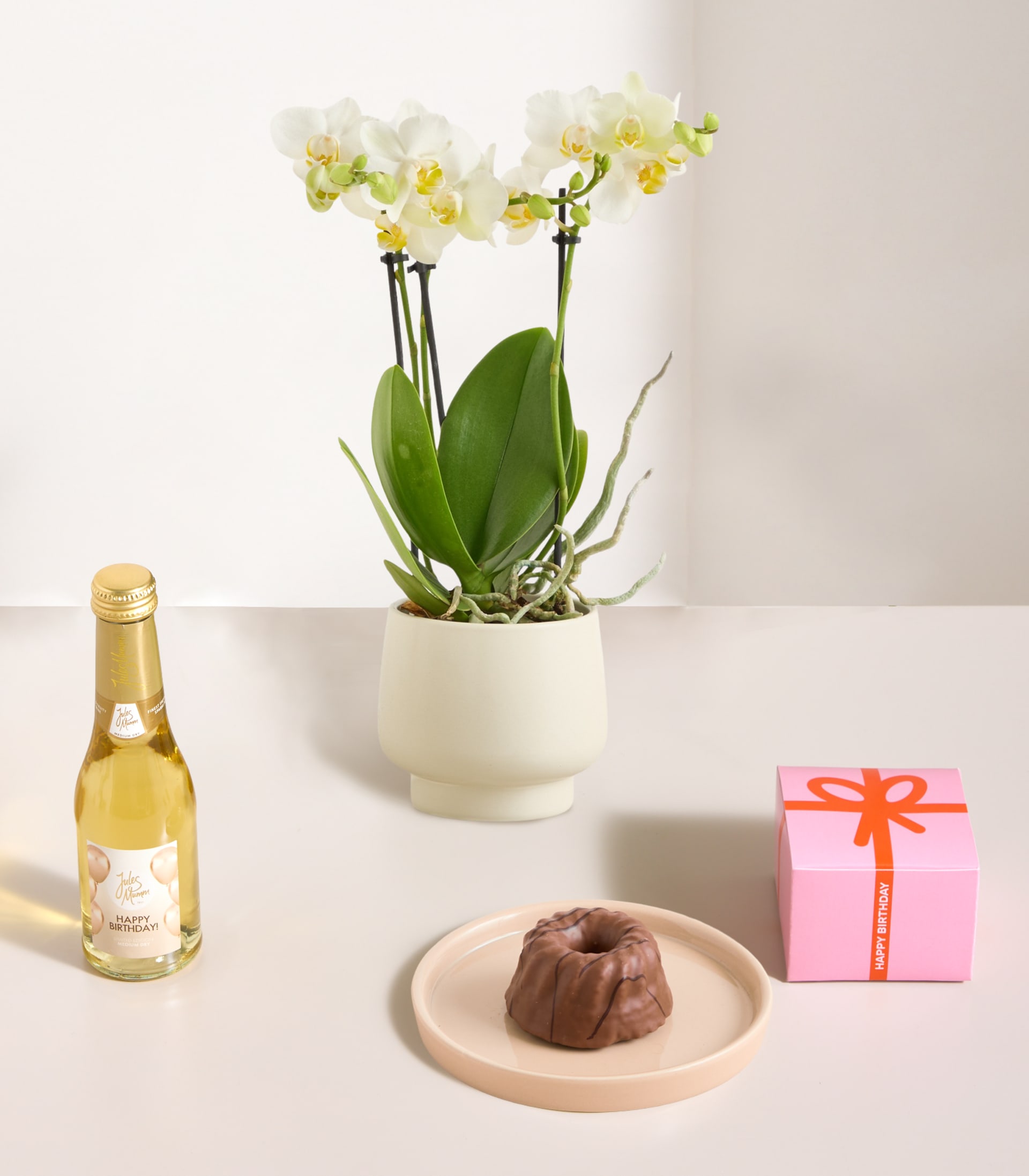 Auf einer Holzoberfläche steht eine Orchidee im Topf mit zarten gelben Blüten, dazu eine kleine Geschenkbox und eine Flasche, die wie Champagner oder Sekt aussieht.