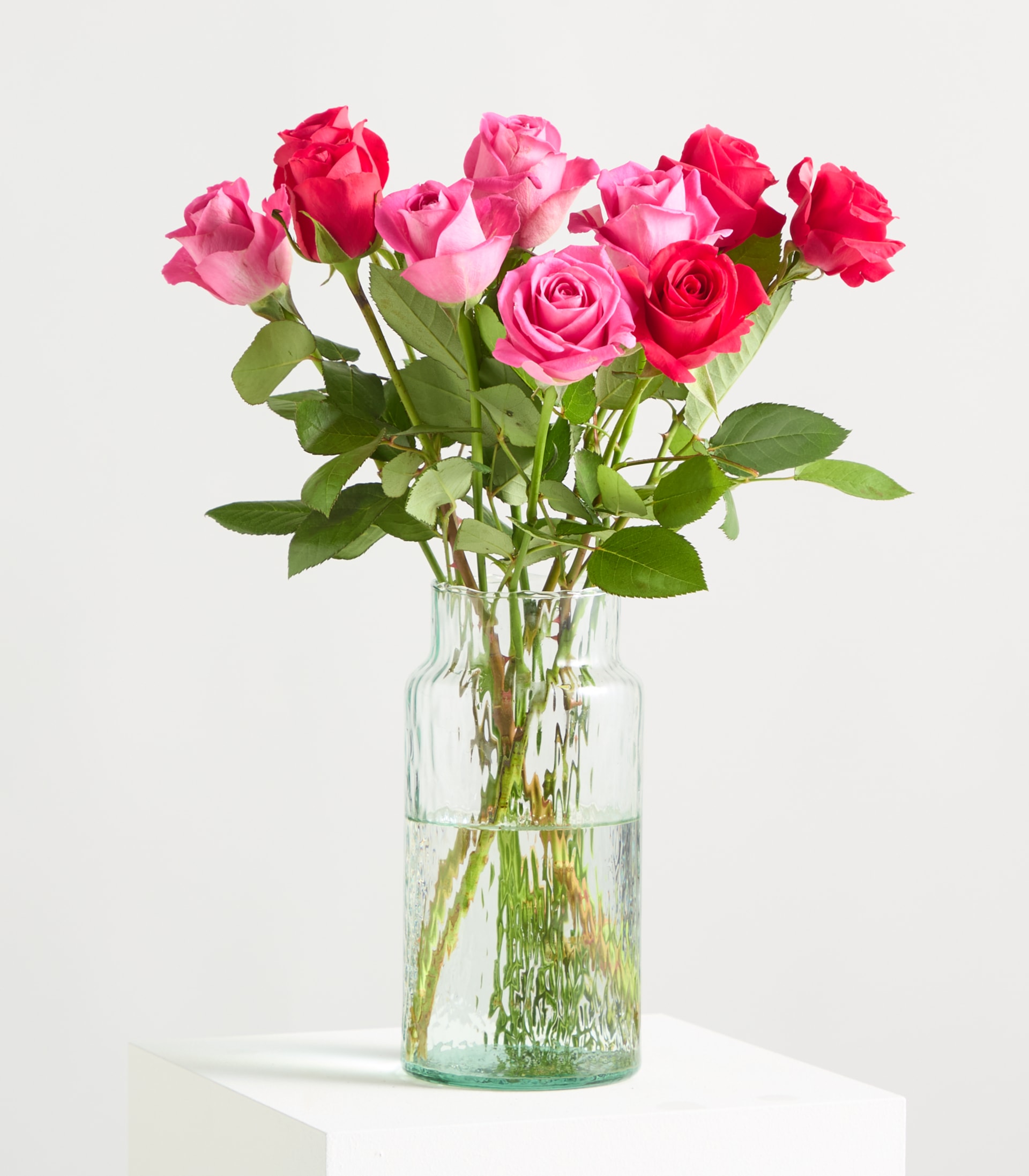 Leuchtend rosa und rote Rosen mit üppigem grünem Laub vor unscharfem Hintergrund.