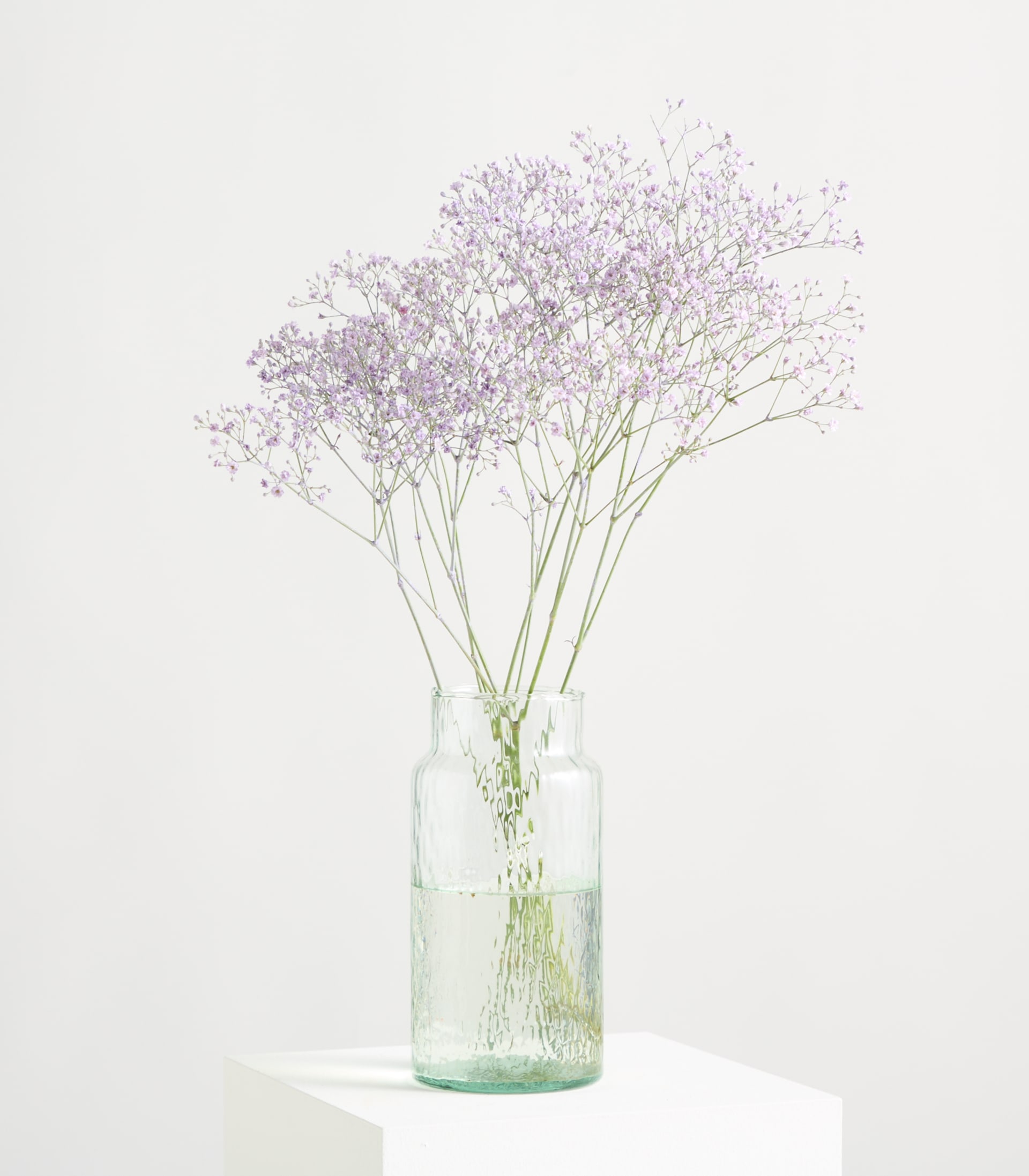 Ein zarter Strauß kleiner, blassvioletter Blüten vor einem schlichten weißen Hintergrund.