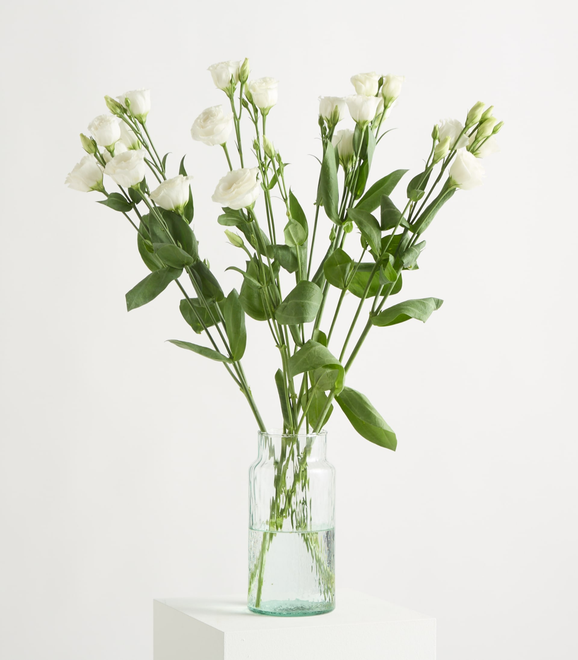 Ein Strauß wunderschöner, zarter weißer Rosen mit grünen Blättern vor einem schlichten, hellen Hintergrund.