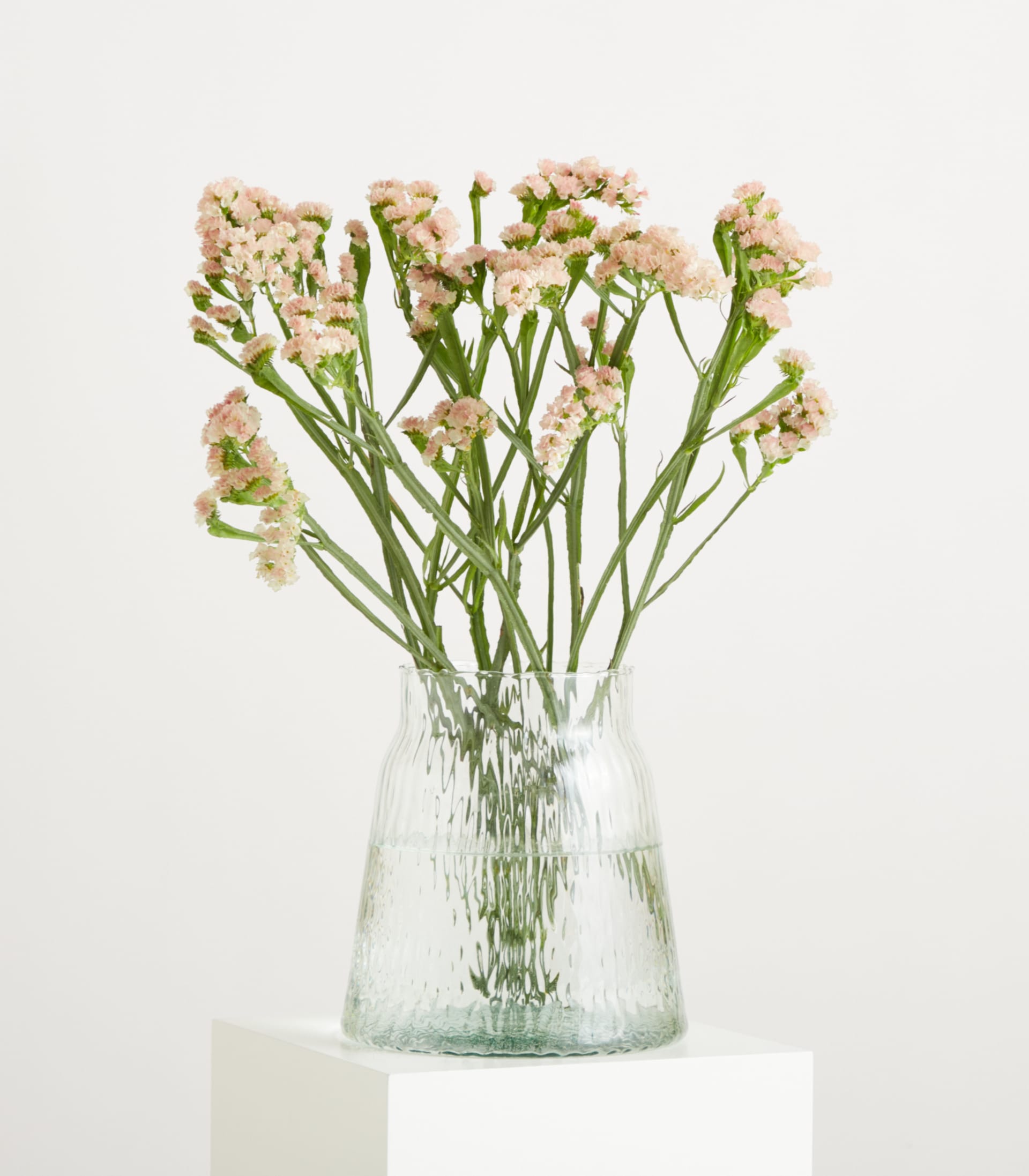 Ein Bouquet aus zarten, hellrosa Blüten mit grünen Blättern füllt das Bild vor einem schlichten weißen Hintergrund.