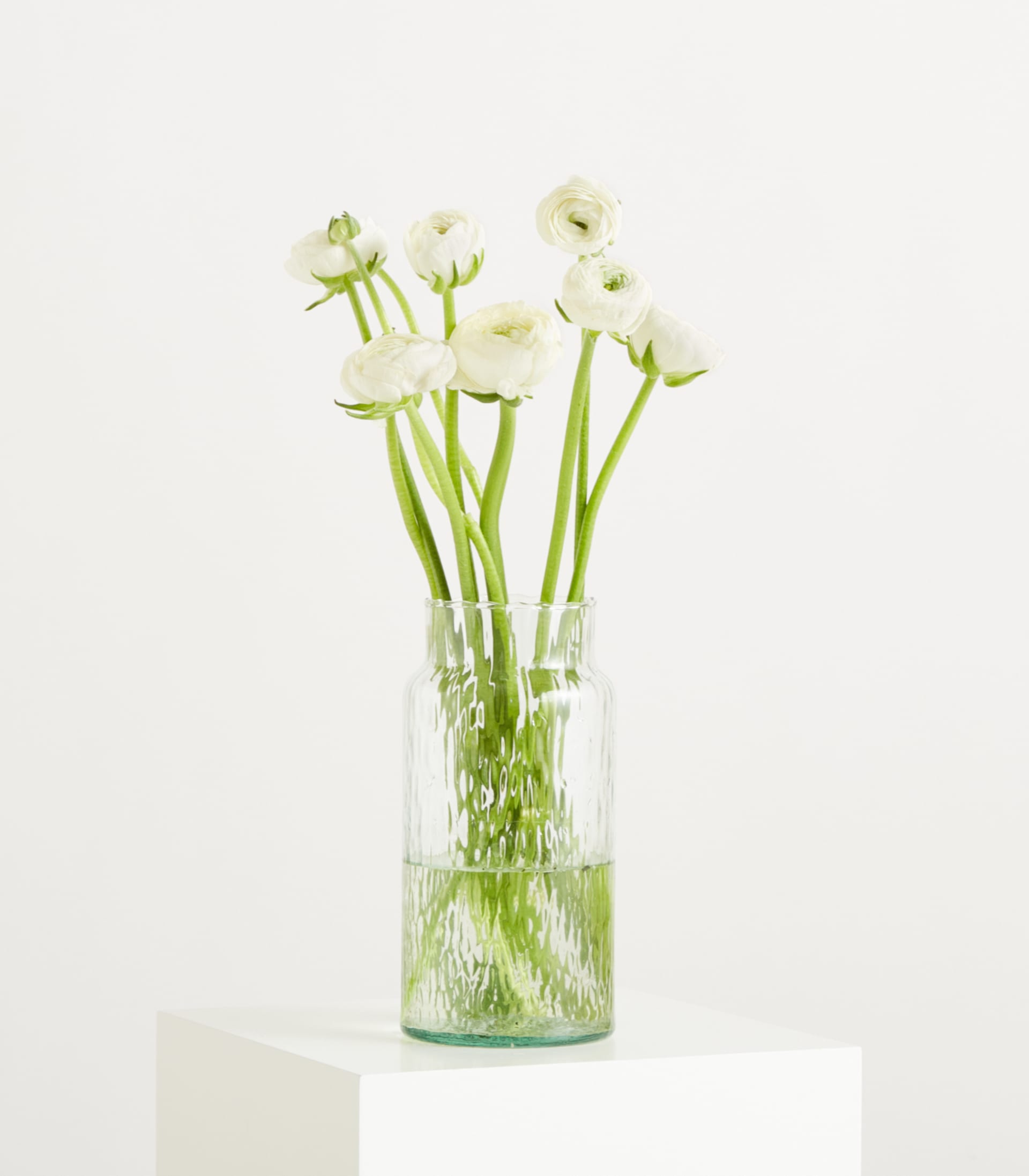 Weiße Ranunkeln - 7 Stiele