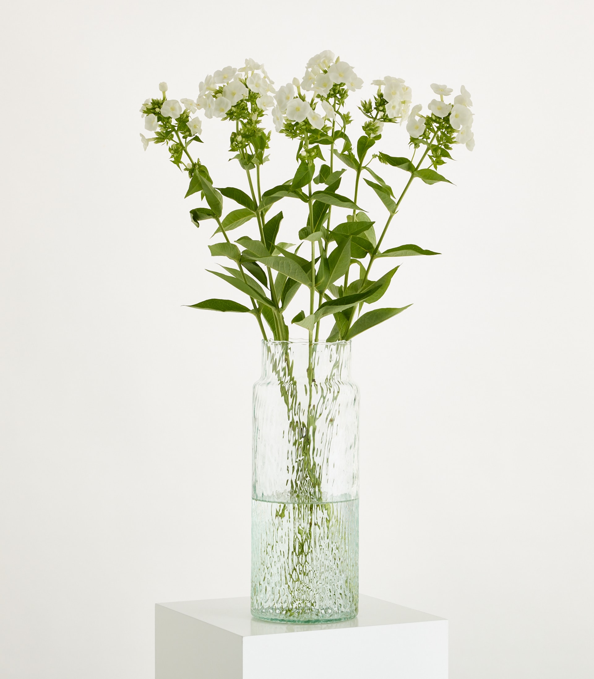 Eine durchsichtige Glasvase, gefüllt mit zarten weißen Blüten und grünen Blättern, steht auf einem schlichten weißen Hintergrund.
