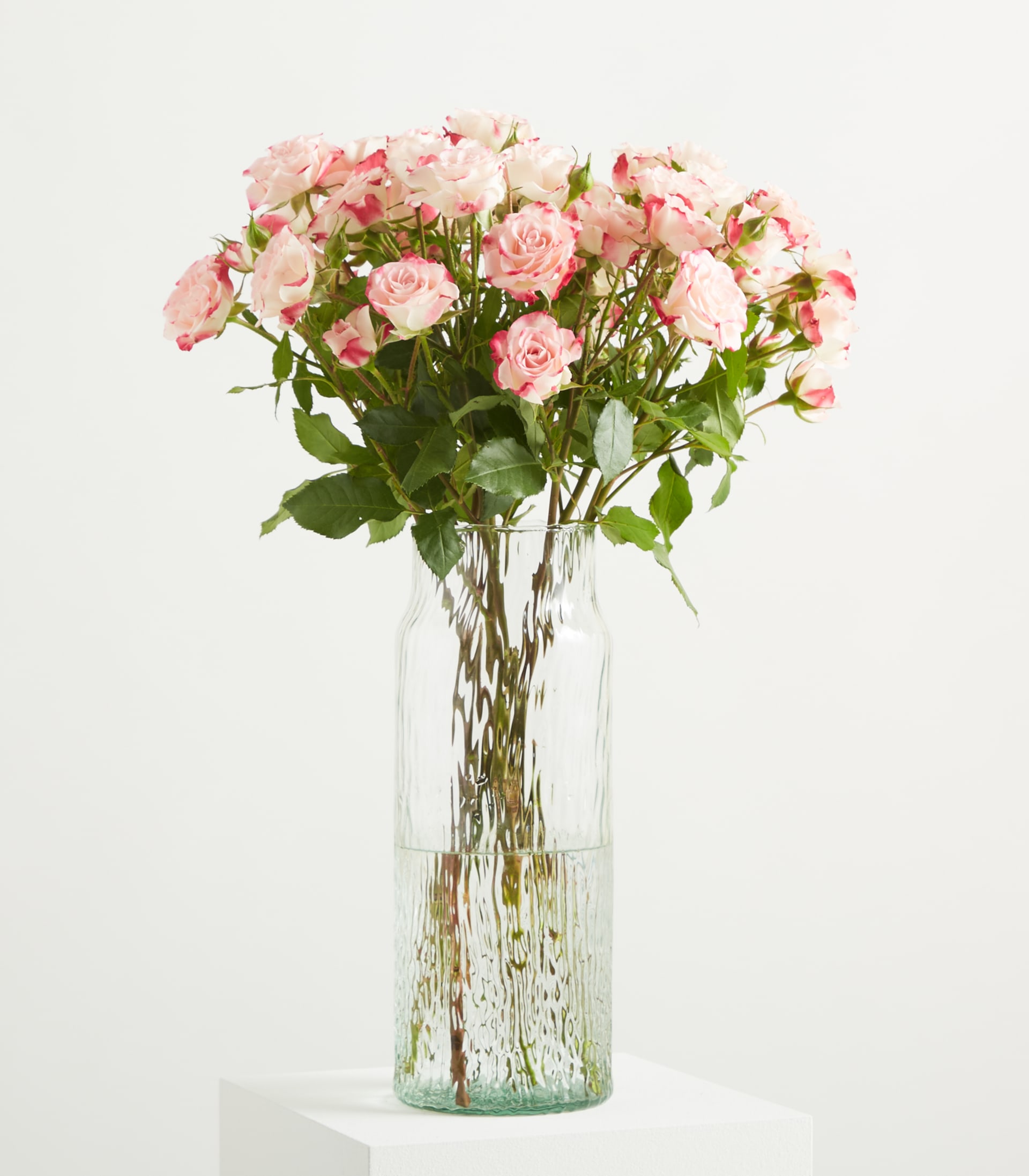 Ein Strauß zarter, blassrosa Rosen mit üppigem, grünem Laub vor einem schlichten, weißen Hintergrund.