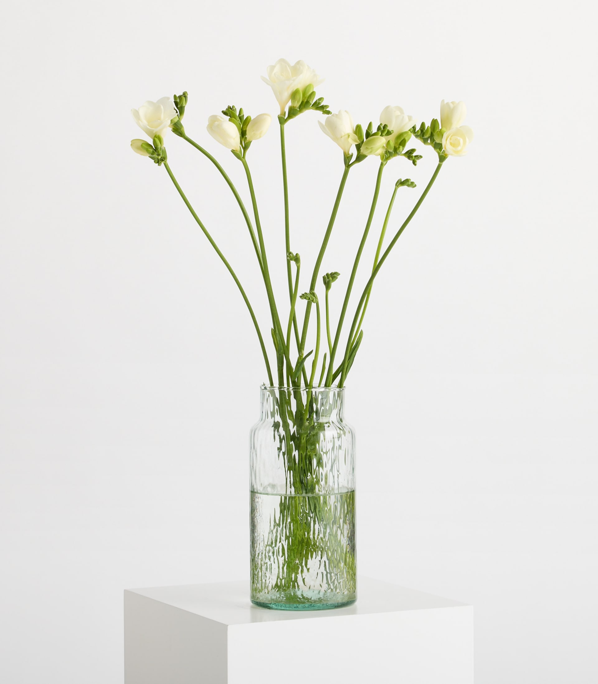 Weiße Freesien - 7 Stiele