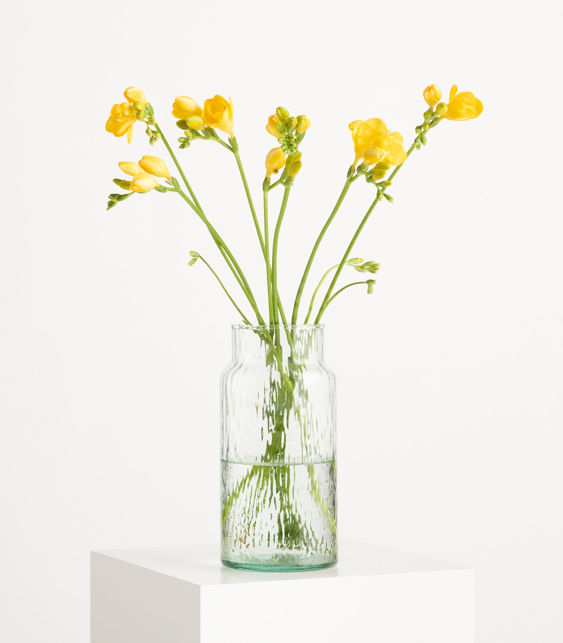 Gelbe Freesien - 7 Stiele