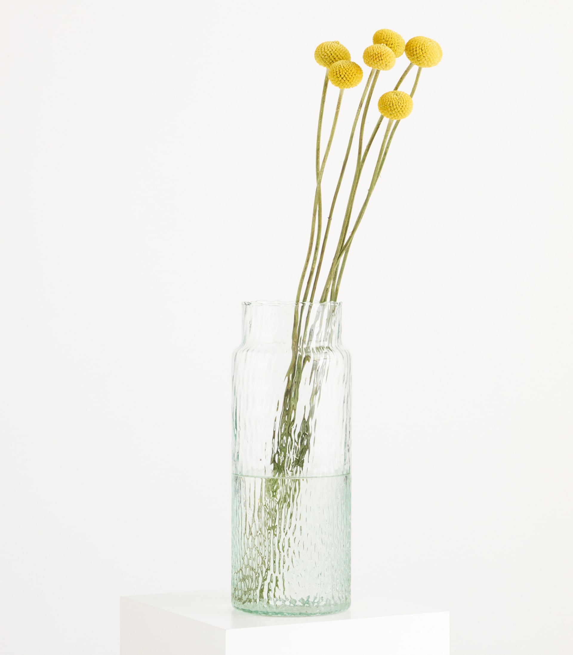 Eine durchsichtige Glasvase enthält einen Strauß leuchtend gelber, kugelförmiger Blüten vor einem schlichten weißen Hintergrund.