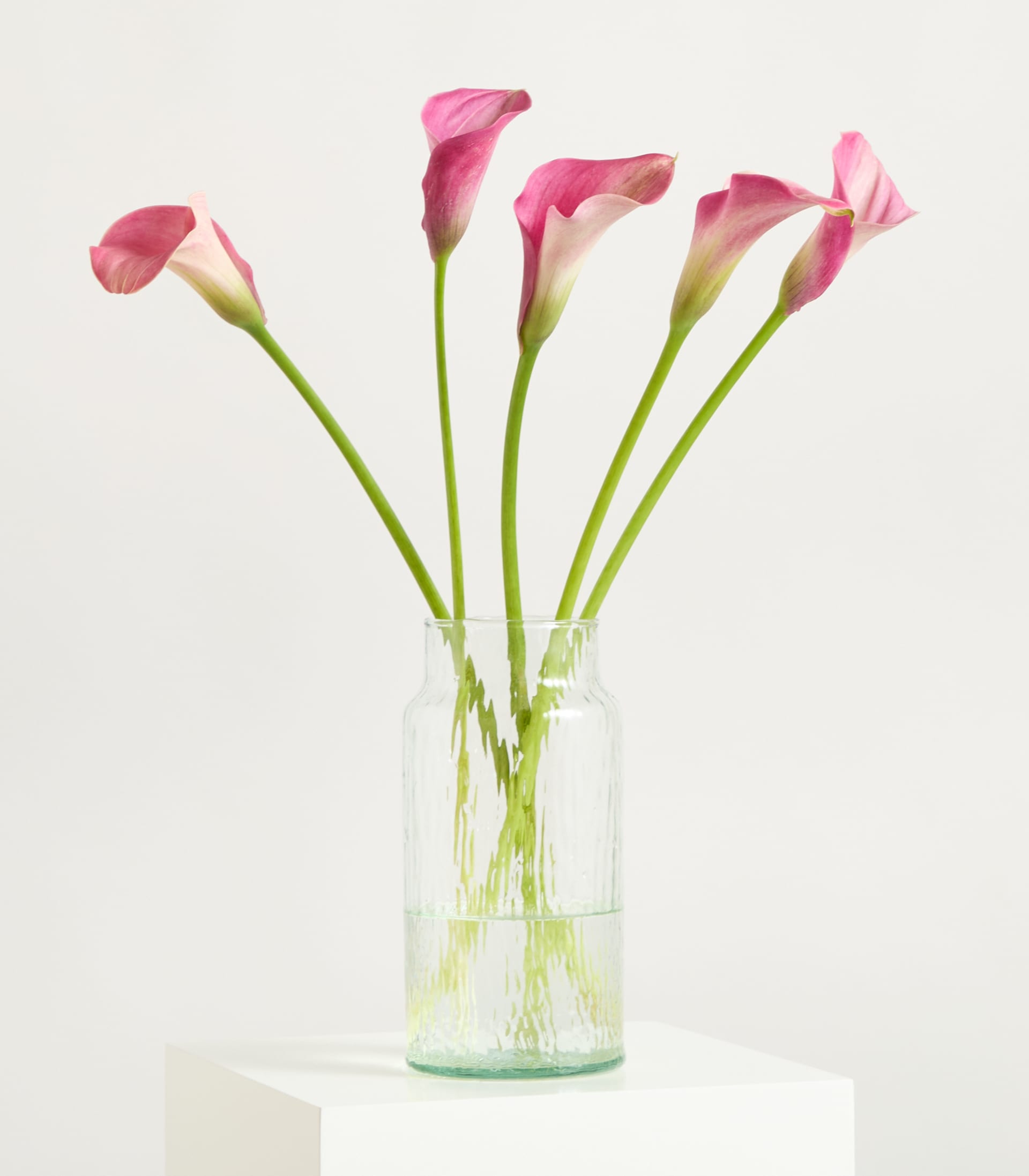 Ein Strauß leuchtend pinkfarbener Calla-Lilien steht in einer durchsichtigen Glasvase vor einem schlichten weißen Hintergrund.