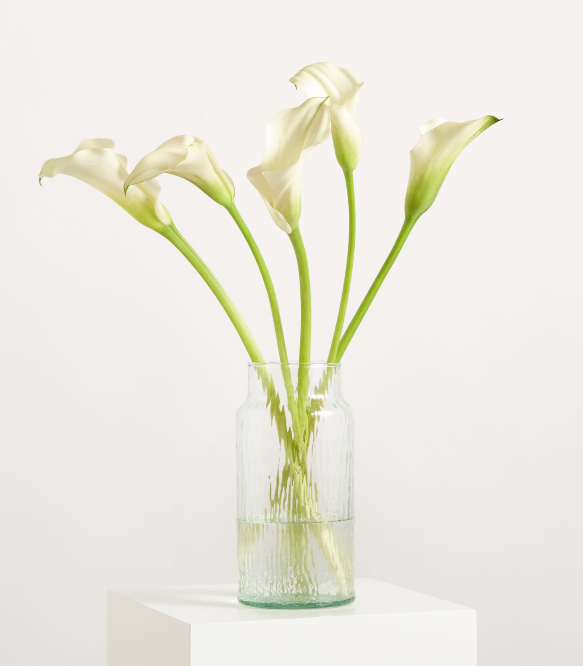 Ein Strauß eleganter weißer Calla-Lilien steht in einer durchsichtigen Glasvase vor einem schlichten weißen Hintergrund.