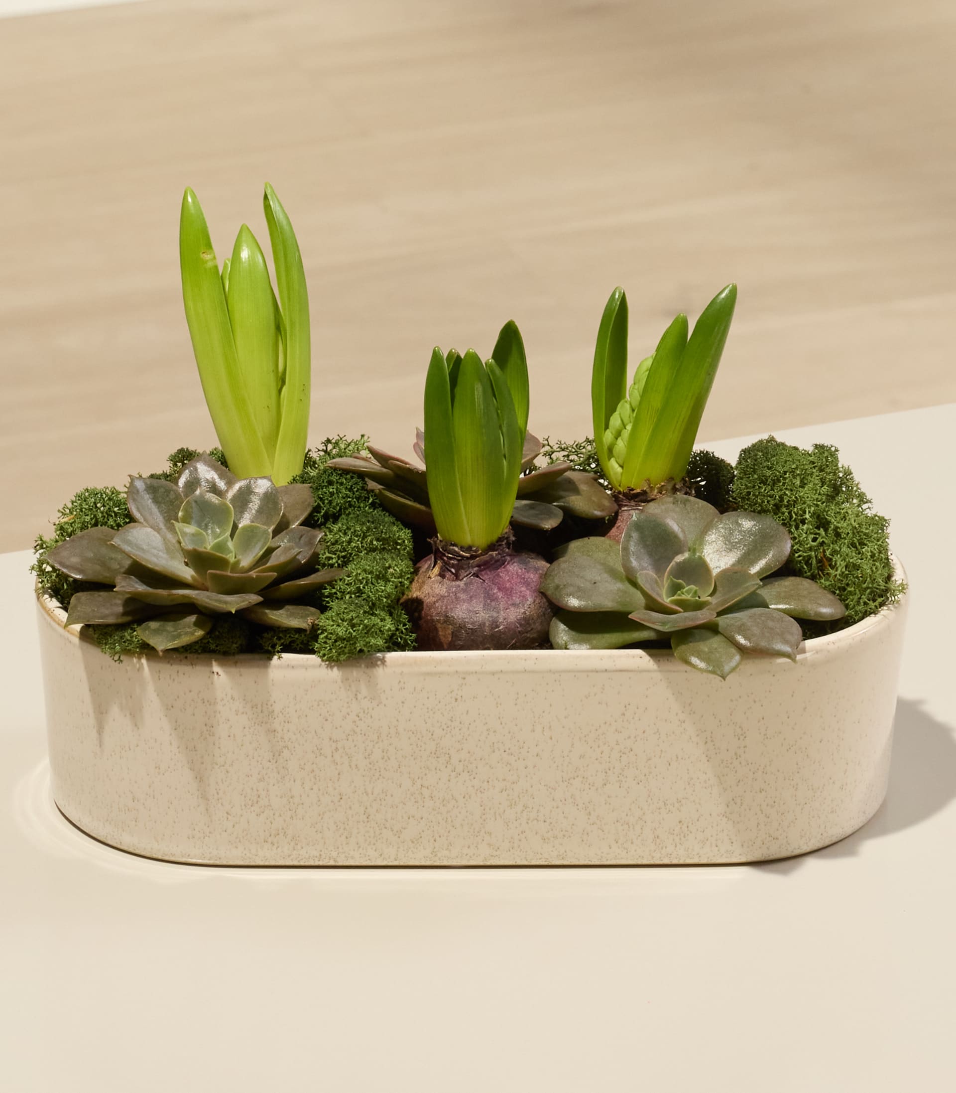 DIY Hyazinthen Schale - rosa