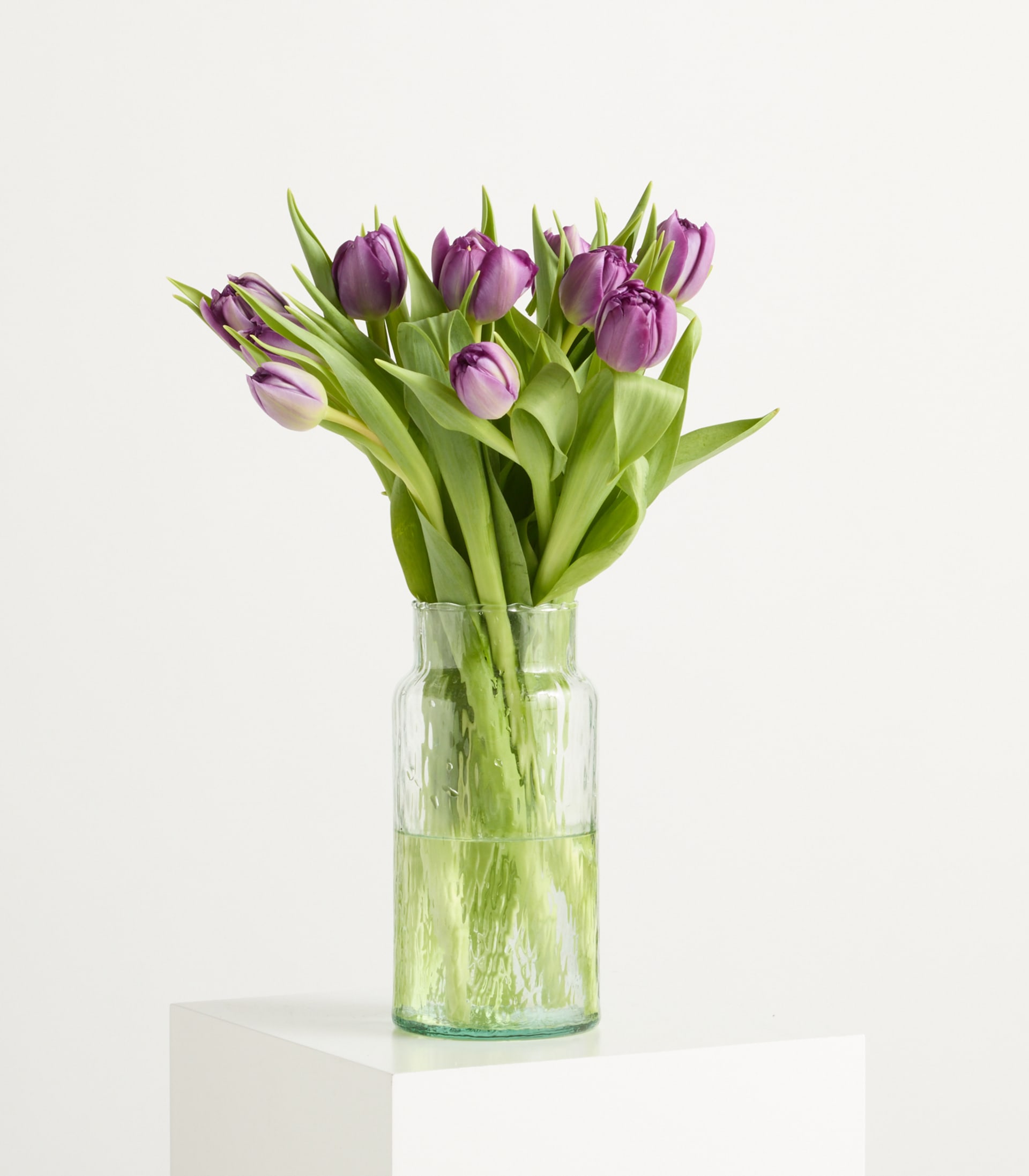 Lila gefüllte Tulpen - 10 Stiele