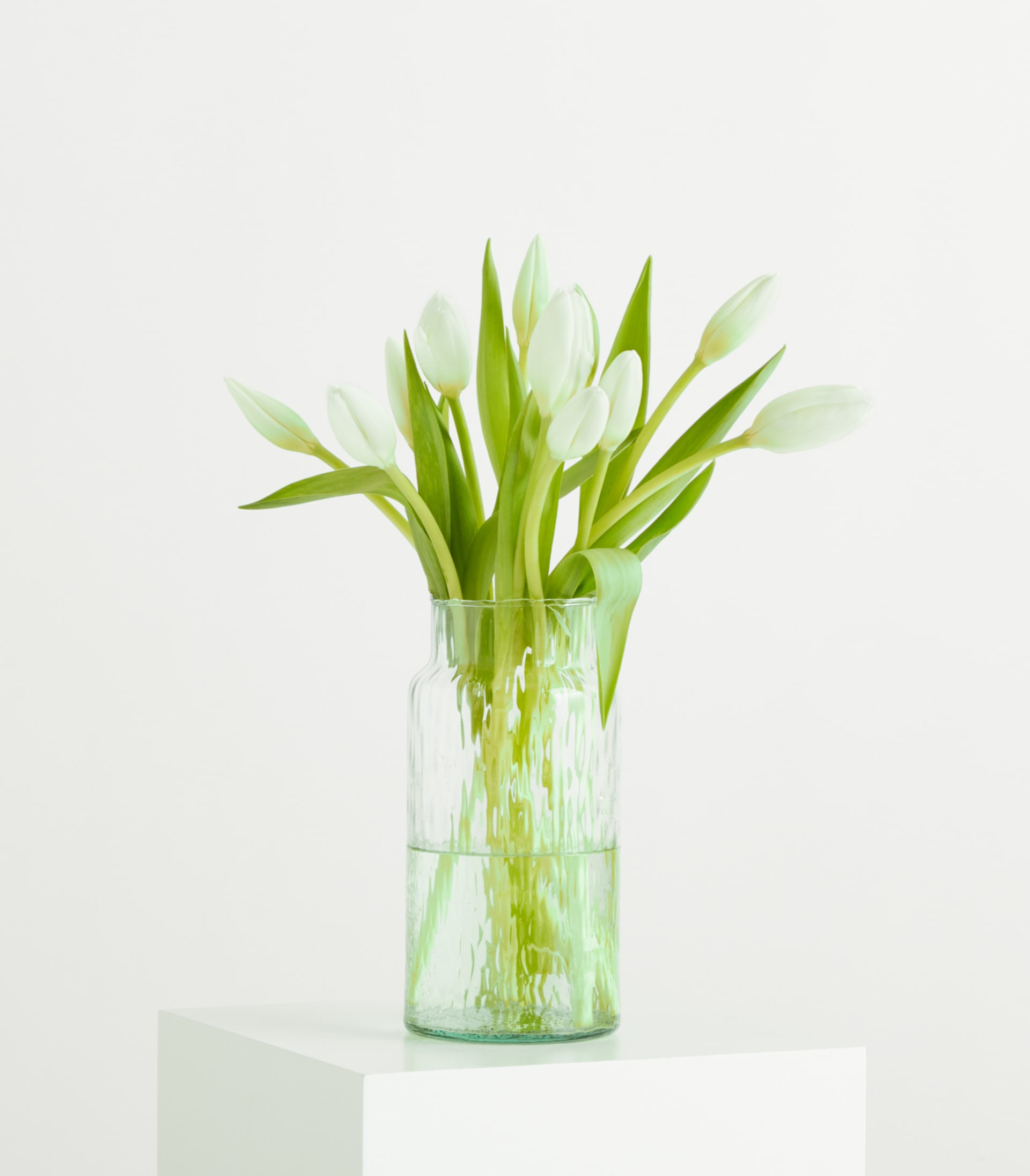 Weiße Tulpen - 10 Stiele