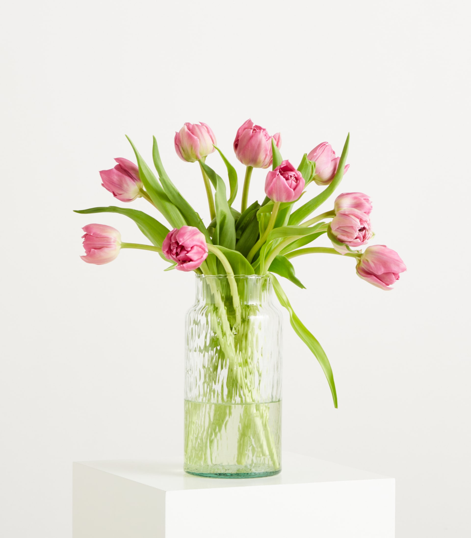 Pinke gefüllte Tulpen - 10 Stiele