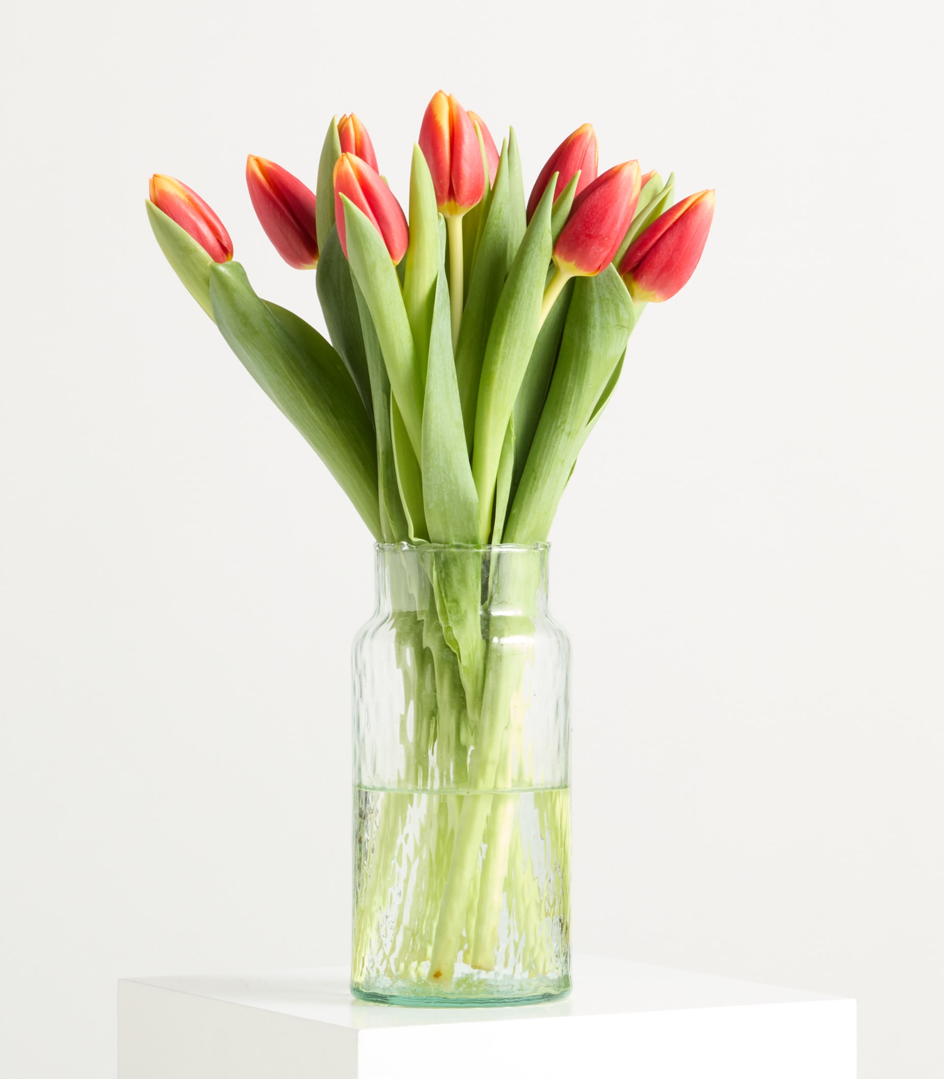 Orange Tulpen 'Ambition' - 10 Stiele