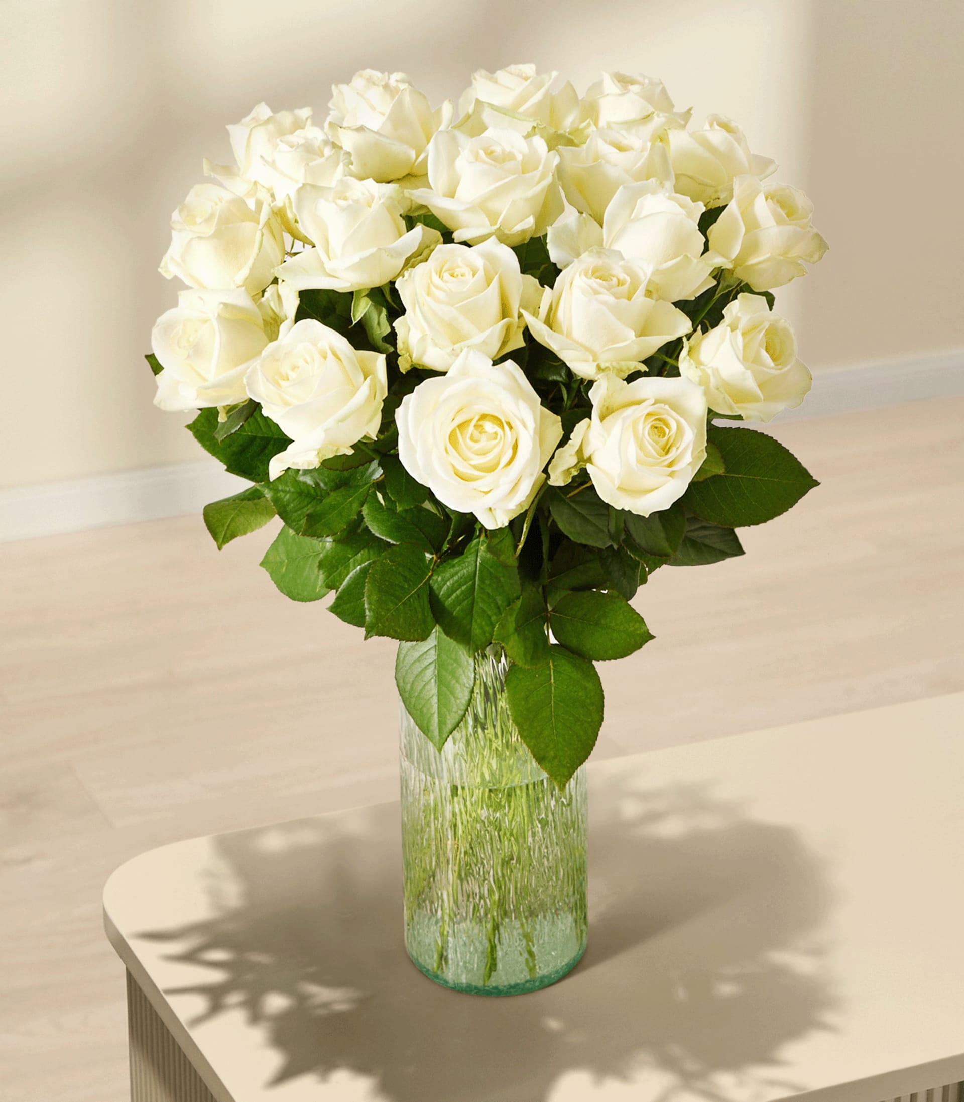 Ein Strauß wunderschöner, cremeweißer Rosen, die eine Person vor einem schlichten weißen Hintergrund in den Händen hält.