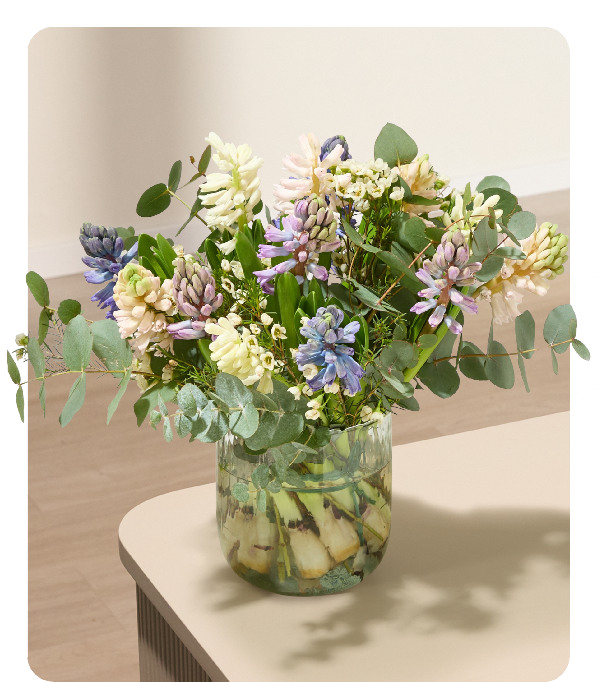 DIY Hyazinthentraum - 12 Stiele