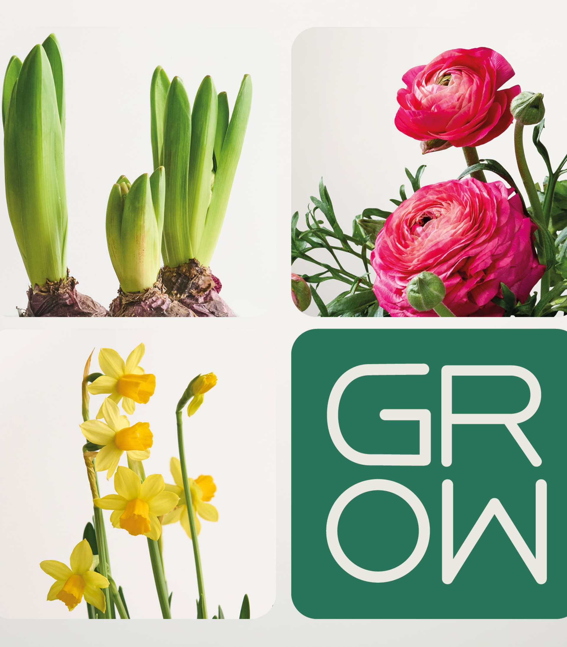 Buntes Balkon Set - 9 Stück