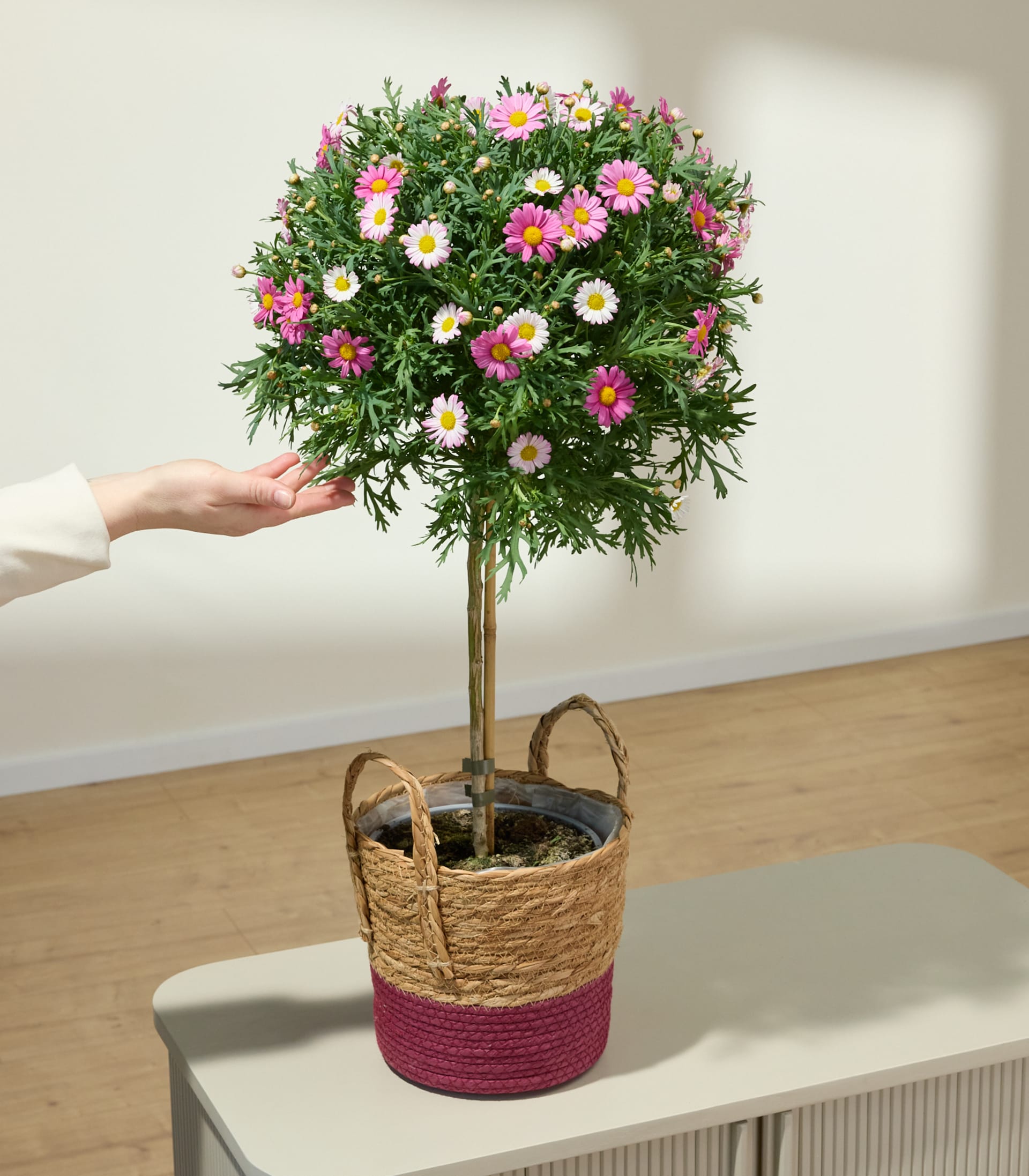 Ein geflochtener Korb mit einem rosa und naturfarbenen Muster, der auf einem schlichten Hintergrund ruht.