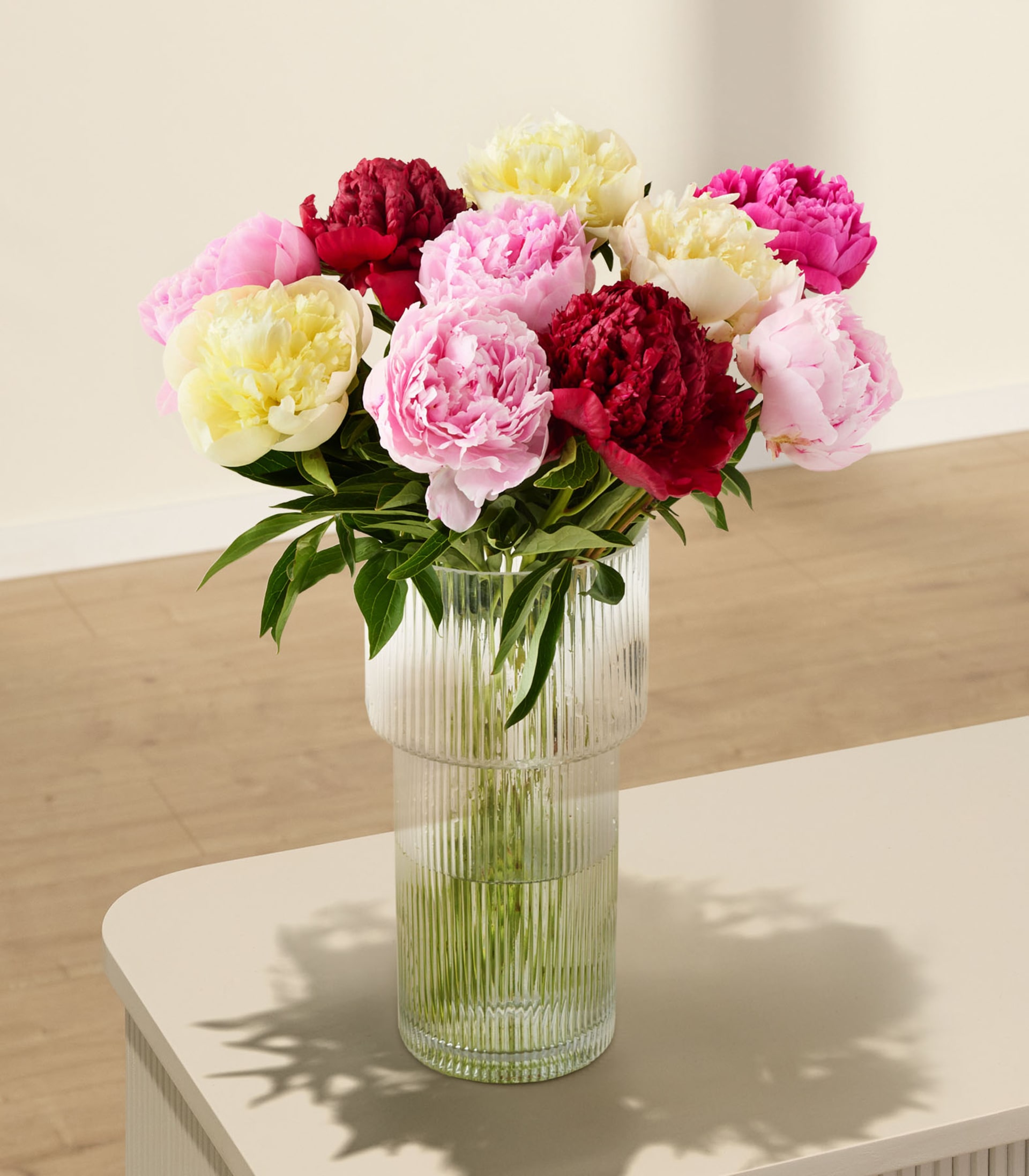 Bunte Pfingstrosen - 10 Stiele