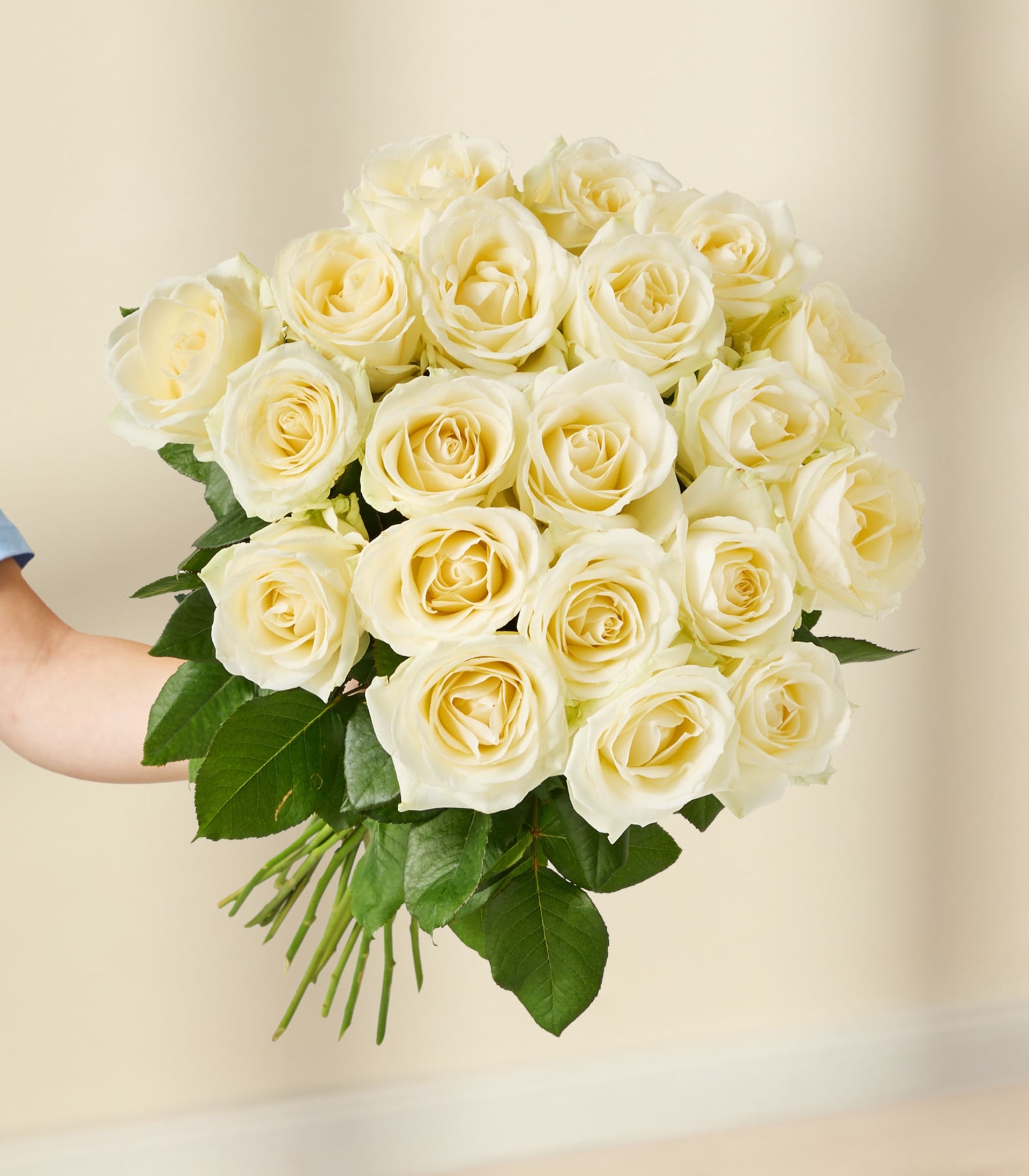 Ein Strauß zarter, cremeweißer Rosen vor einem schlichten, hellen Hintergrund.