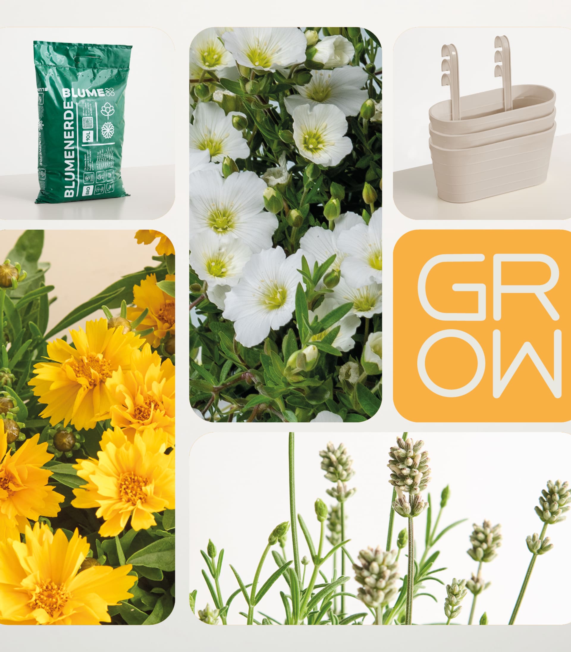 Das Bild zeigt eine Collage aus verschiedenen floralen Elementen, darunter ein Sack Blumenerde, ein Strauß weißer Blumen, gelbe Gänseblümchen und eine Sammlung kleiner grüner Pflanzen.