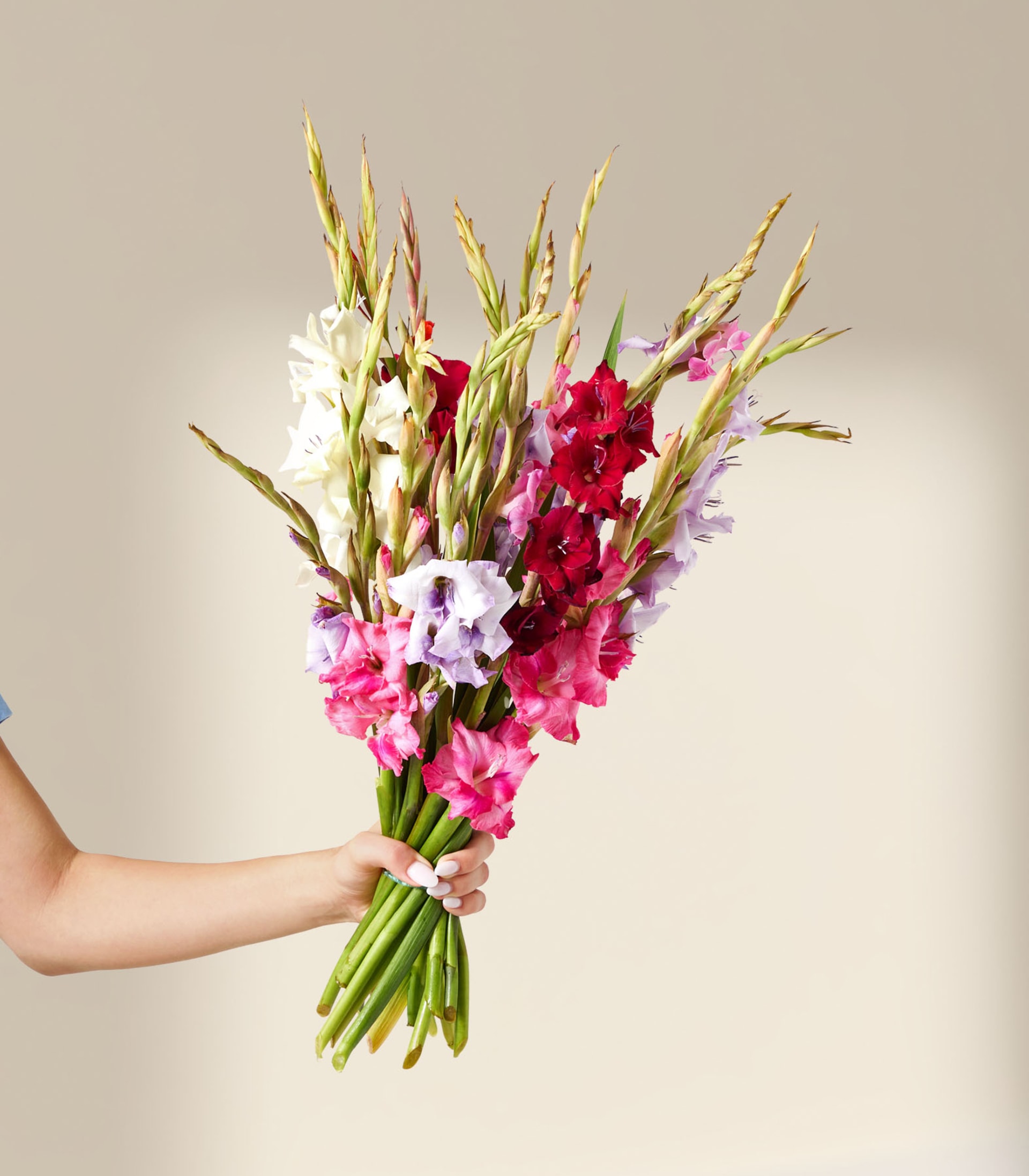 Ein lebendiger Strauß bunter Gladiolenblüten in Gelb-, Rosa- und Lilatönen vor hellblauem Hintergrund.
