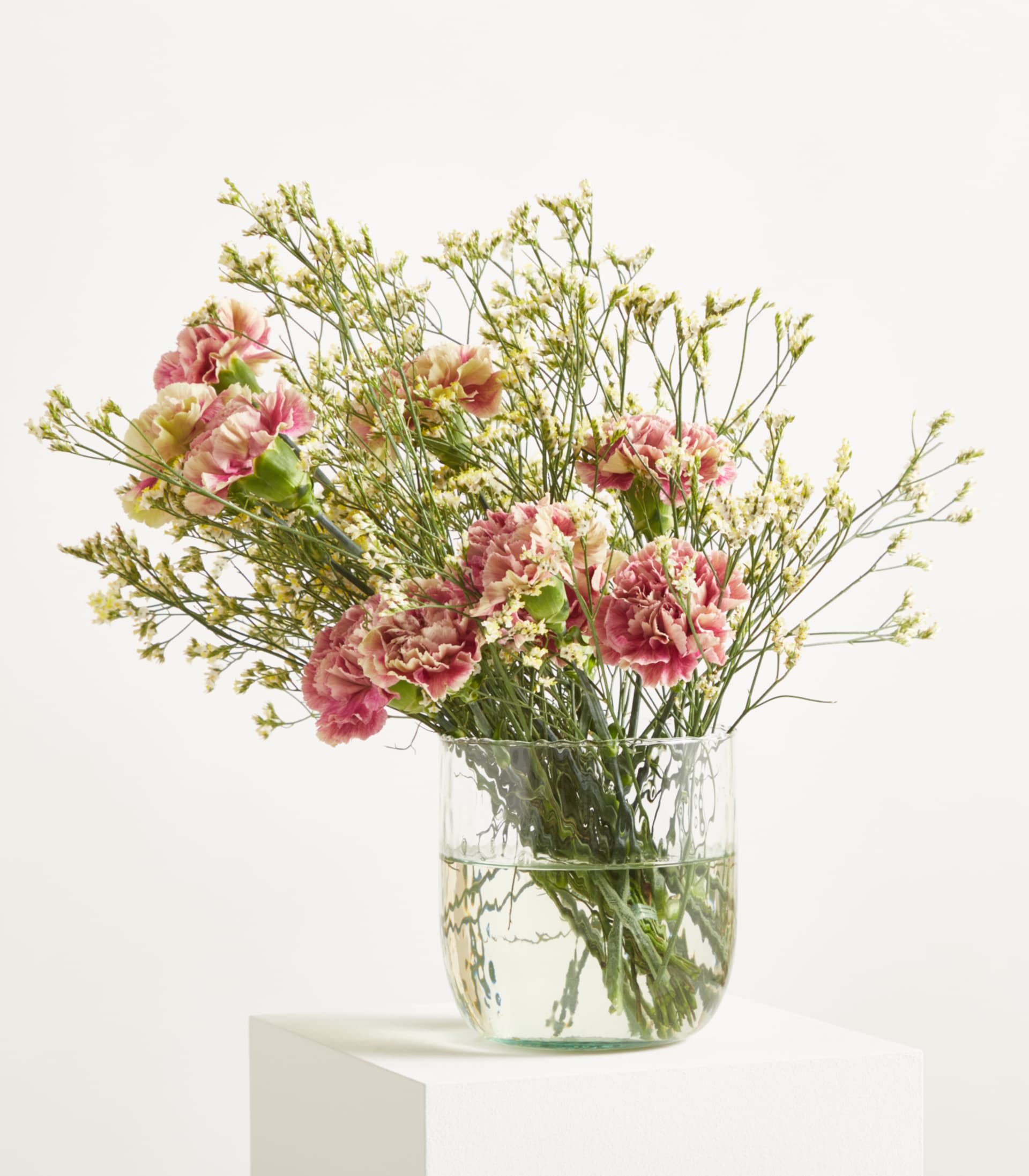 Ein Strauß rosa und grüner Nelken mit zarten weißen Füllblumen steht in einer durchsichtigen Glasvase auf einem weißen Sockel vor einem schlichten weißen Hintergrund.