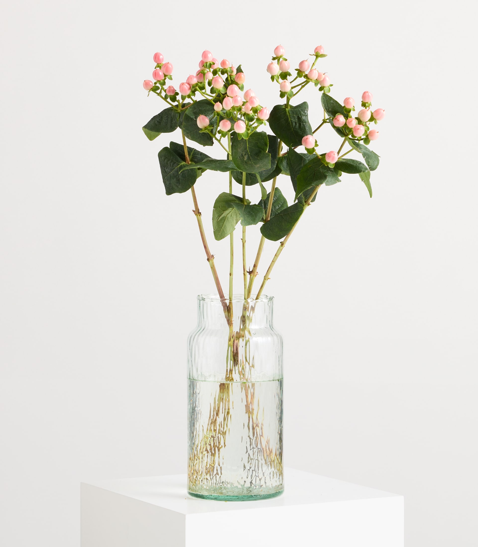 Eine durchsichtige Glasvase mit einem Zweig aus rosa Beeren und grünen Blättern vor einem schlichten weißen Hintergrund.