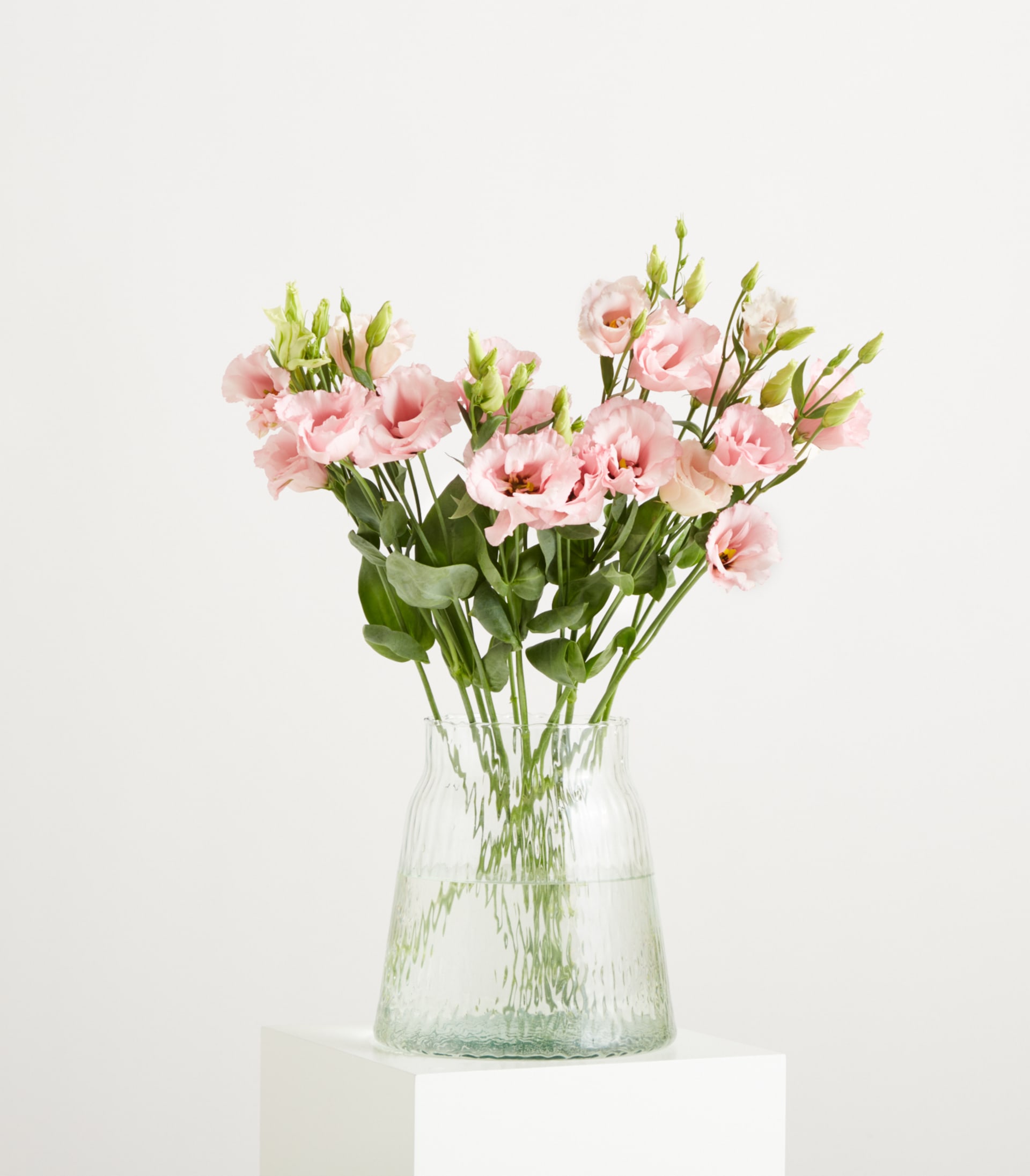 Ein Strauß zarter rosa Lisianthusblüten in einer durchsichtigen Glasvase steht auf einem weißen Sockel vor einem schlichten weißen Hintergrund.