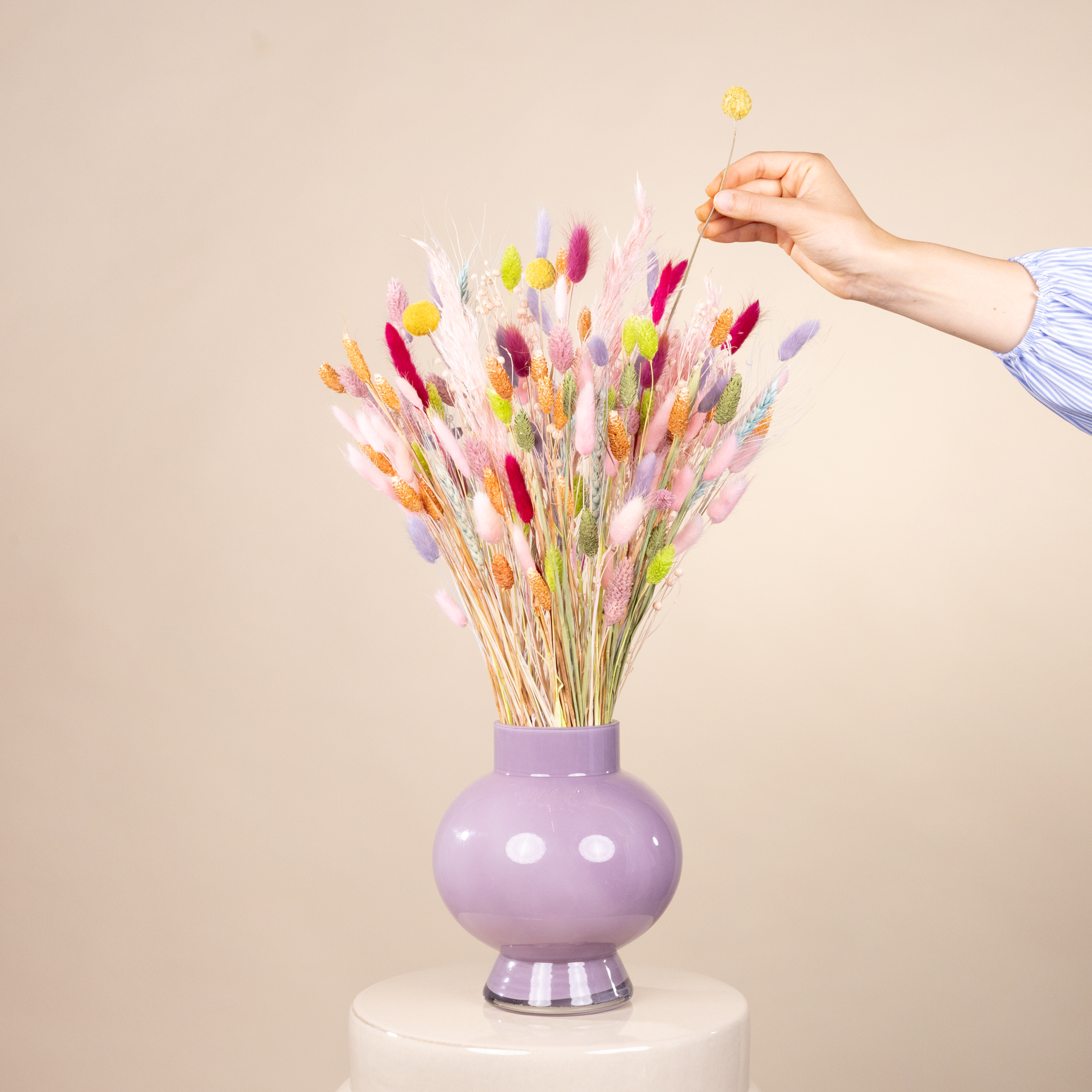 Eine Hand hält einen leuchtenden Strauß bunter Trockenblumen in einer lavendelfarbenen Vase vor einem neutralen beigen Hintergrund.