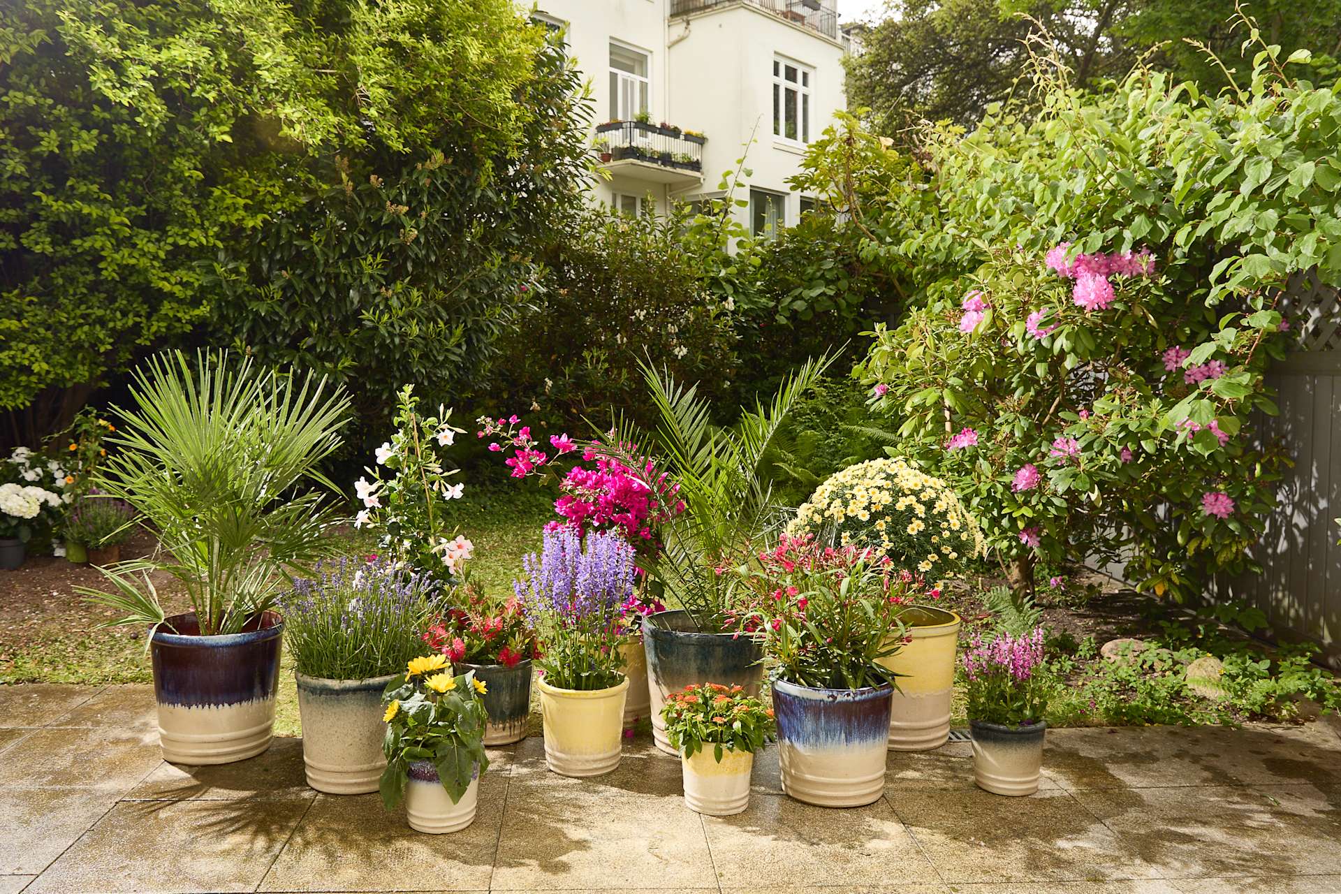 Ein üppiger, lebendiger Garten mit einer Reihe bunter Blumen und Topfpflanzen im Vordergrund, vor der Kulisse eines charmanten alten Gebäudes mit Balkon.