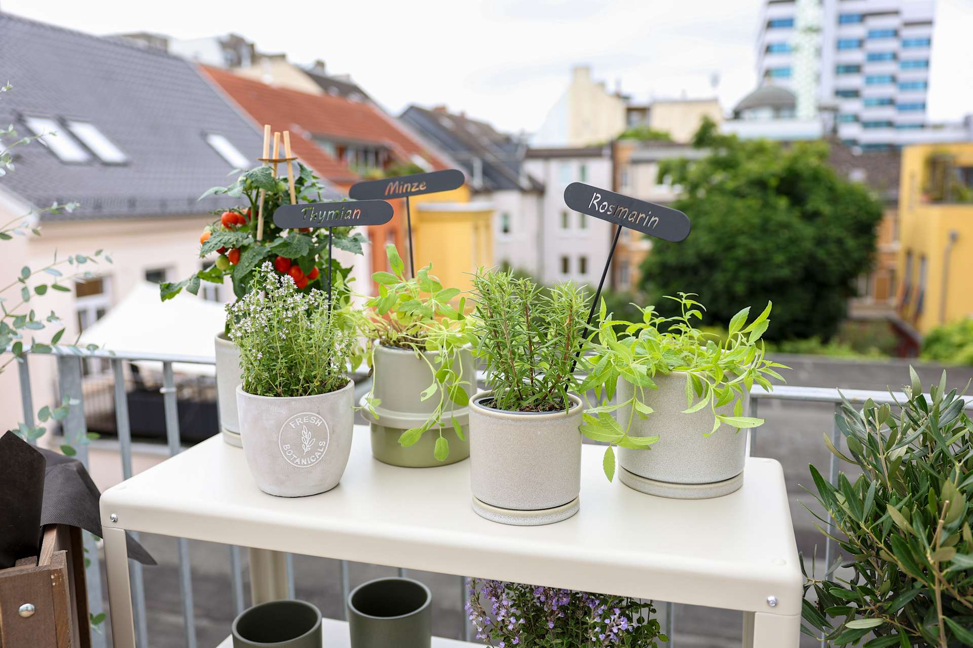 Ein Balkon mit verschiedenen Topfpflanzen, darunter Kräuter und Blumen, vor der Kulisse städtischer Gebäude.