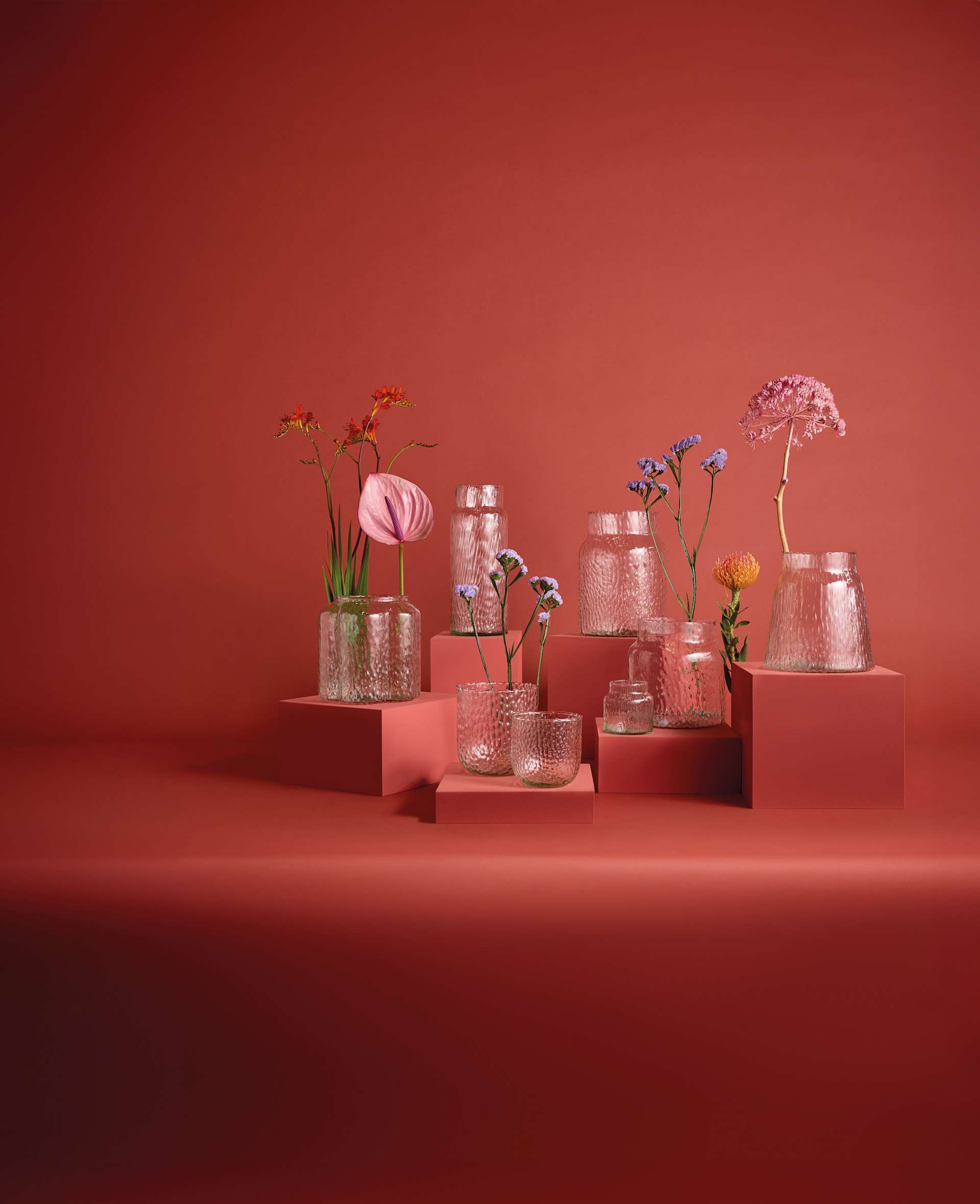 Eine Sammlung verschiedener Glasbehälter und Vasen, gefüllt mit leuchtenden Blumen und Pflanzen vor einem tiefroten Hintergrund.