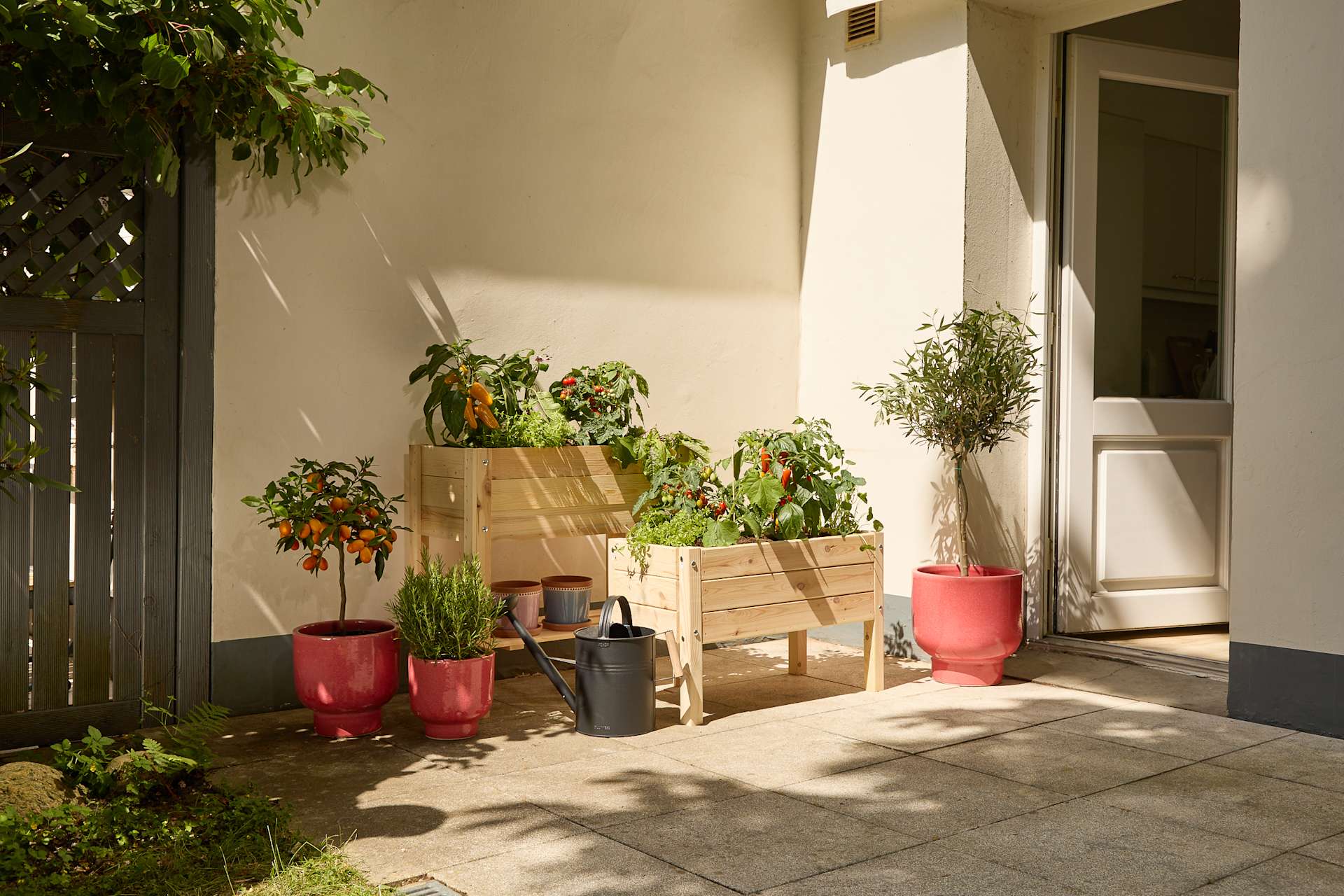Eine gemütliche Terrasse oder ein Balkon mit verschiedenen Topfpflanzen, darunter Tomatenpflanzen, Kräuter und anderes Grün, die auf Holzkisten und Regalen angeordnet sind und eine üppige und einladende Atmosphäre schaffen.