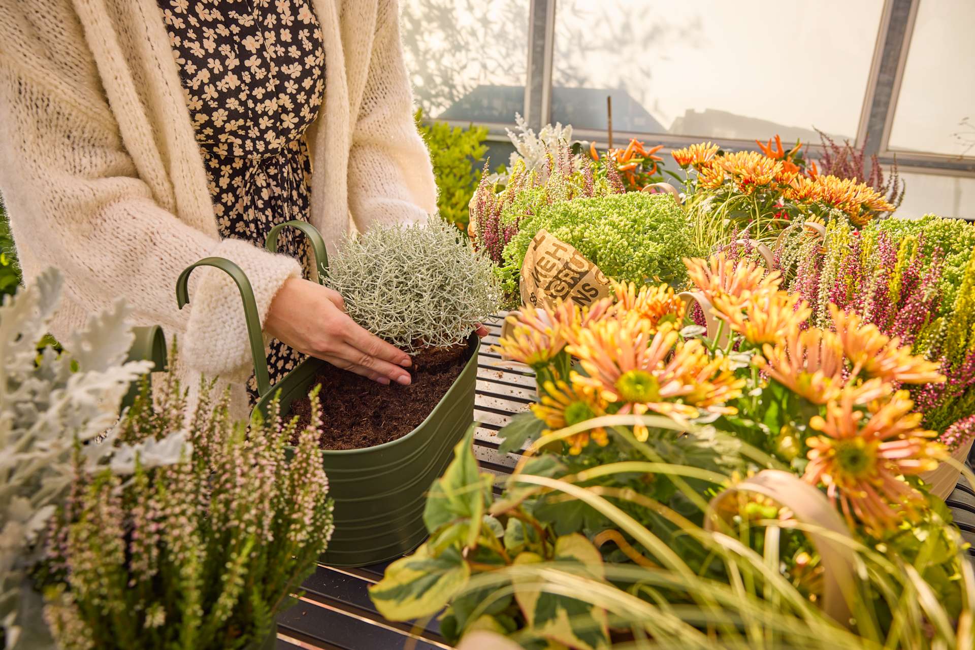 Die Hände einer Person halten eine Topfpflanze, umgeben von einer lebendigen Ausstellung bunter Blumen und Grünpflanzen in einem Gewächshaus oder Garten.