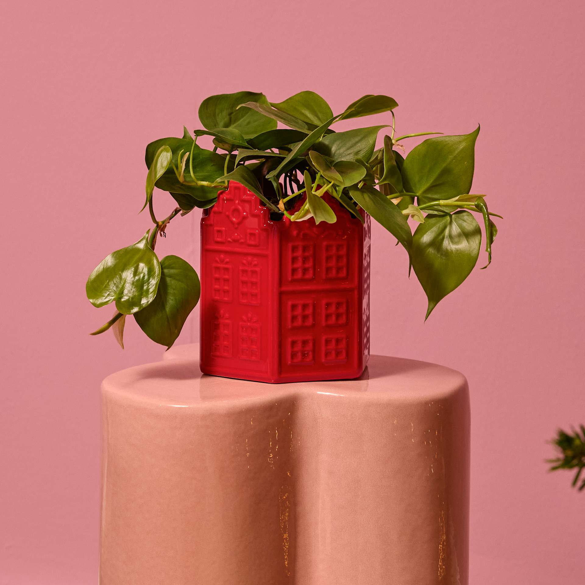Ein roter, hausförmiger Keramiktopf beherbergt eine üppig grüne Pflanze vor einem leuchtend pinkfarbenen Hintergrund.