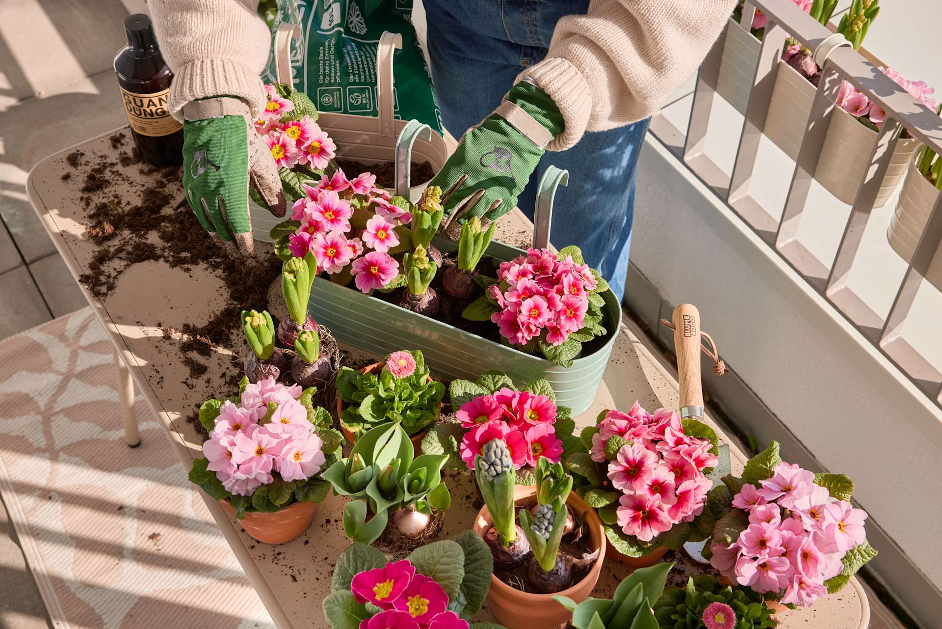 Ein farbenfrohes Arrangement aus leuchtend pinkfarbenen Blumen in verschiedenen Töpfen, begleitet von einer Flasche Wein, vor dem Hintergrund einer Holzkonstruktion.