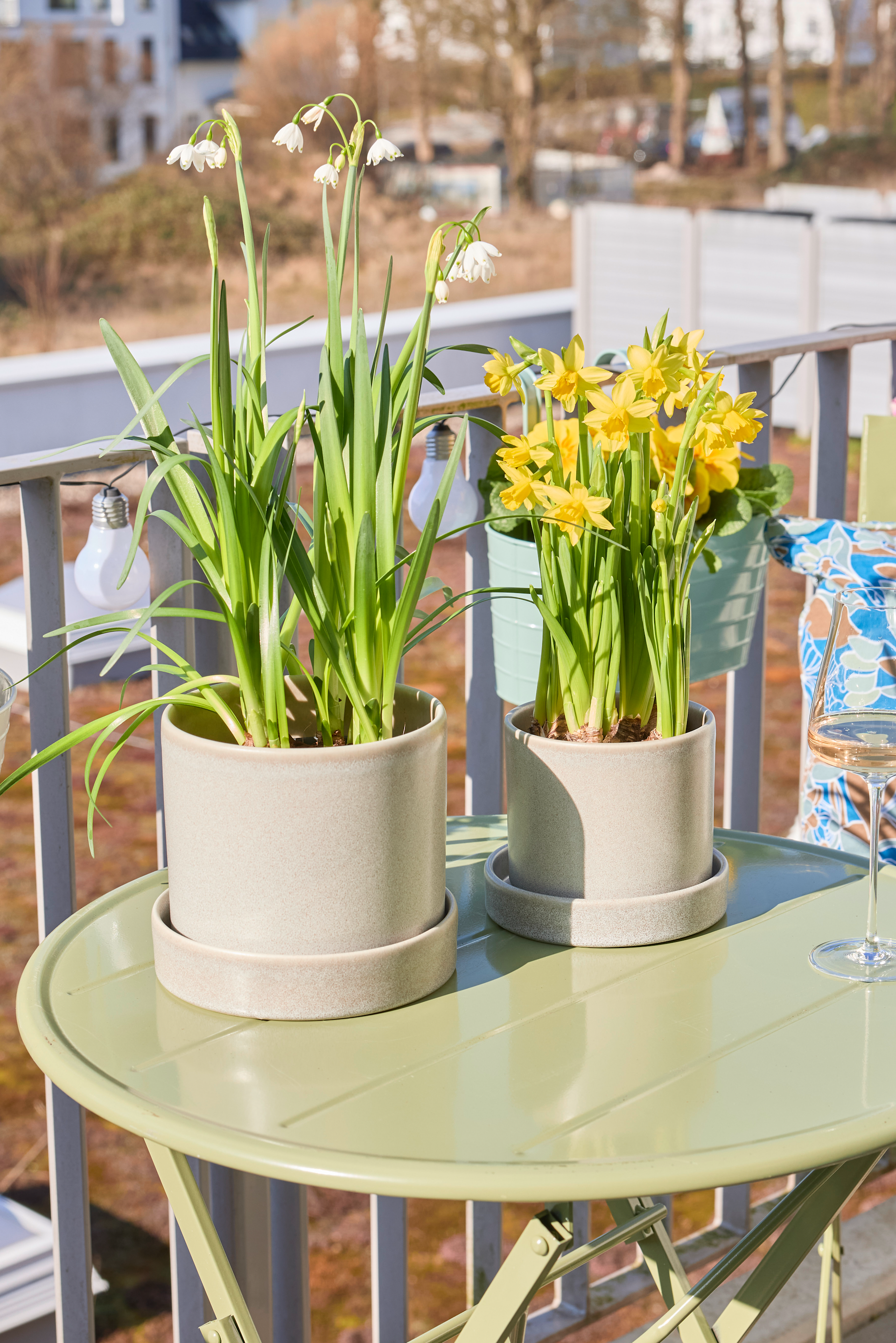 Das Bild zeigt zwei Topfpflanzen mit gelben Narzissenblüten auf einem kleinen runden Tisch auf einem Balkon oder einer Terrasse, im Hintergrund ist eine verschwommene Außenszene zu sehen.