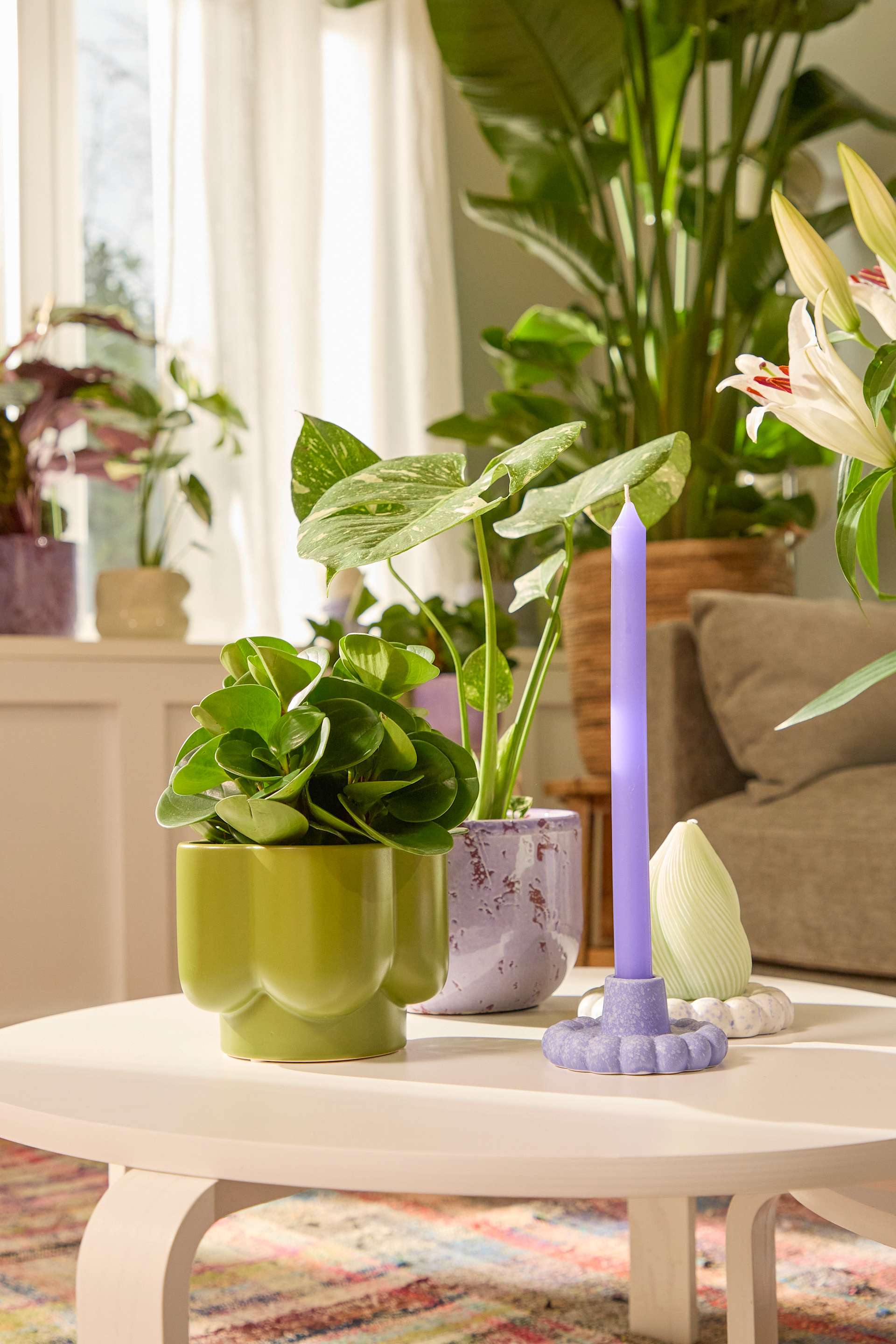 Das Bild zeigt eine gemütliche Innenraumsituation mit verschiedenen Topfpflanzen, einer Kerze und einem gemusterten Teppich auf einem Holztisch.